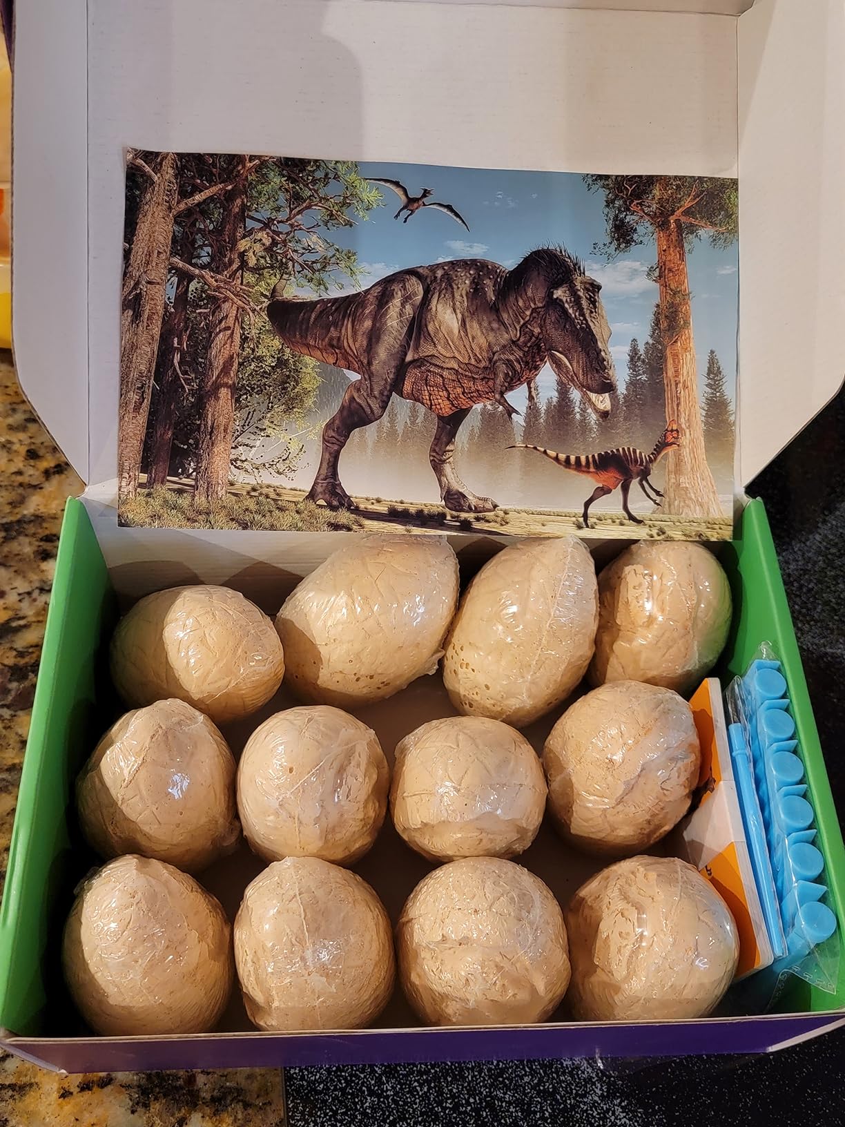 Dig Up Dinosaur Fossil Eggs, Easter Digging Toy for Kids 3-5 6-12 | Break Open 12 Unique Eggs and Discover 12 Cute Dinosaurs, Archaeology Science STEM Gift customer photo 1