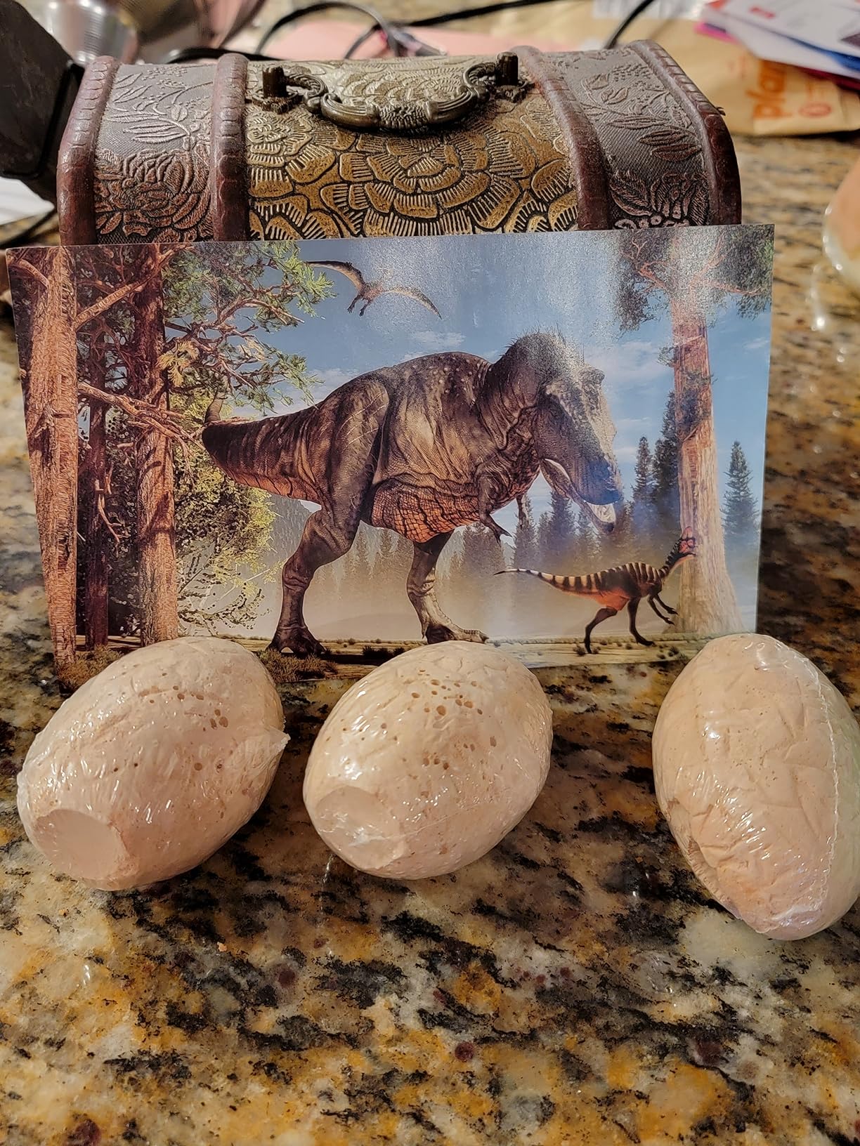 Dig Up Dinosaur Fossil Eggs, Easter Digging Toy for Kids 3-5 6-12 | Break Open 12 Unique Eggs and Discover 12 Cute Dinosaurs, Archaeology Science STEM Gift customer photo 2