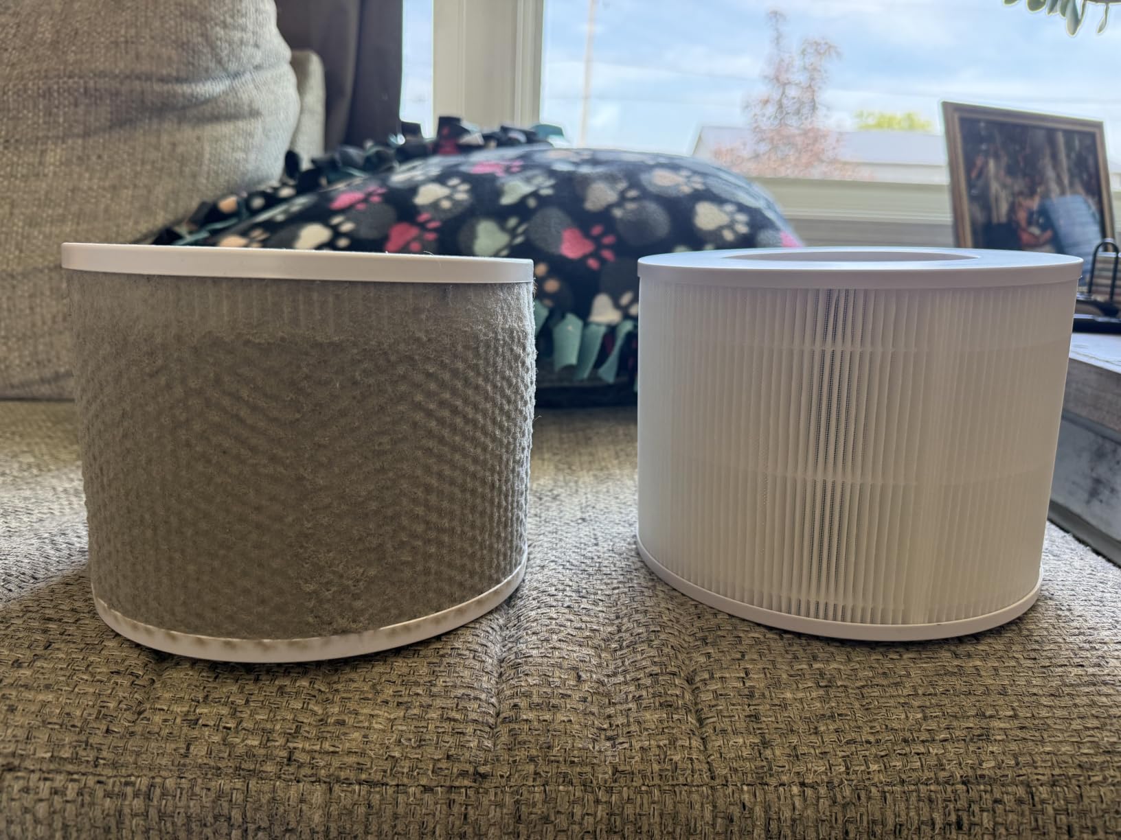 LEVOIT Air Purifier for Home Allergies and Pets Hair Smokers in Bedroom, H13 True HEPA Filter, 24db Filtration System Cleaner Odor Eliminators, Remove 99.97% Dust Smoke Mold Pollen, Core 300, White | Quiet HEPA Sleep Mode, Remove 99.97% Dust Pollen Smoke Pet Odor, AHAM VERIFIDE, Core300-P, Up to 1073 ft², White customer photo 2