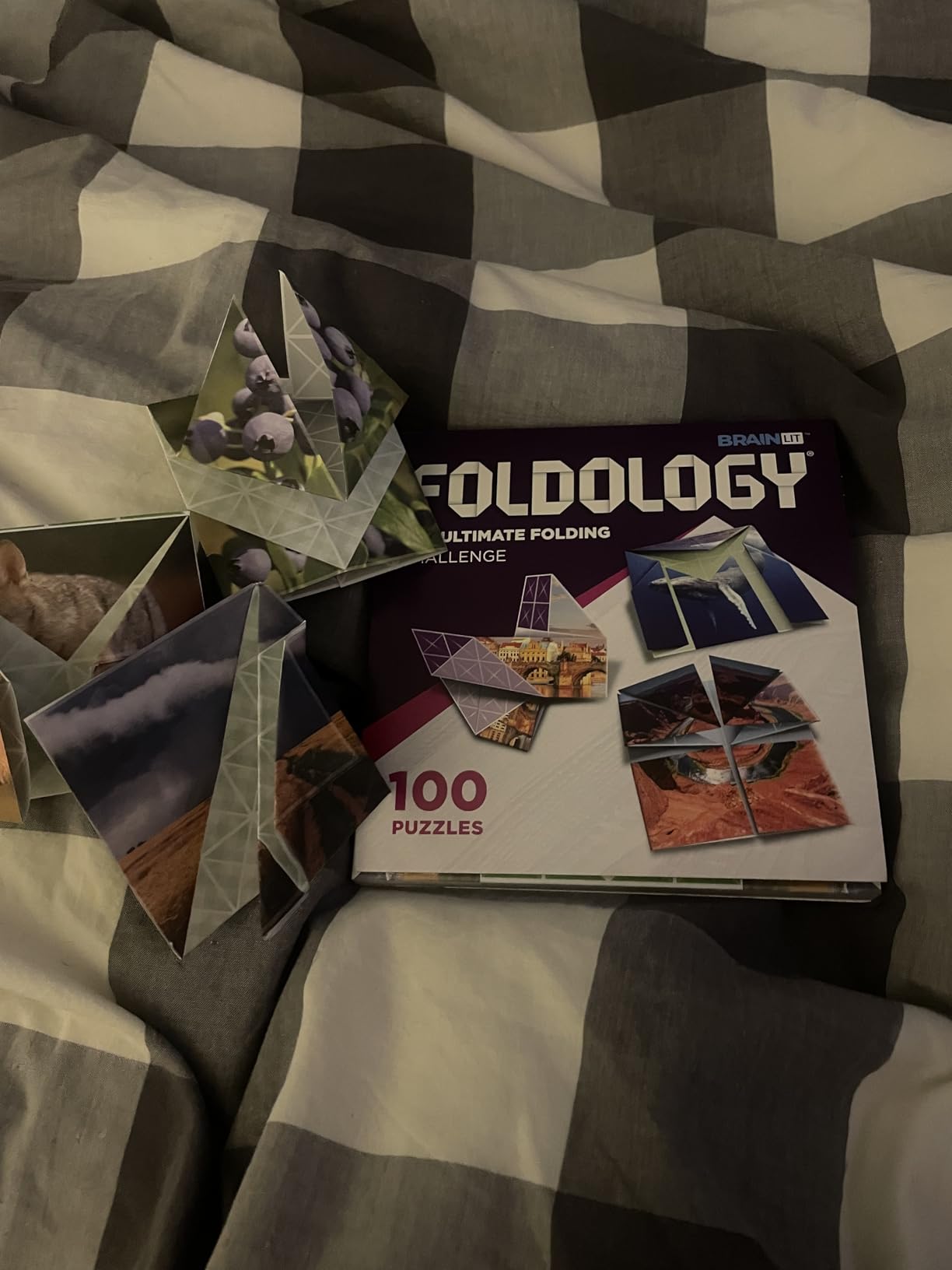 FOLDOLOGY - The Origami Puzzle Game! Brain Teasers for Tweens, Teens & Adults | Travel Game, STEM Toy | Fold the Paper, Complete the Picture | 100 Puzzles | Gift for Ages 10+ customer photo 1