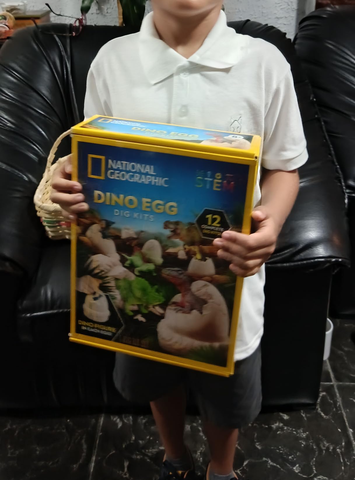 National Geographic Dinosaur Dig Kit with 12 Dino Eggs for Kids | 12 Dino-Shaped Dig Bricks, Dinosaur Figures Inside, Excavation Tools customer photo 2