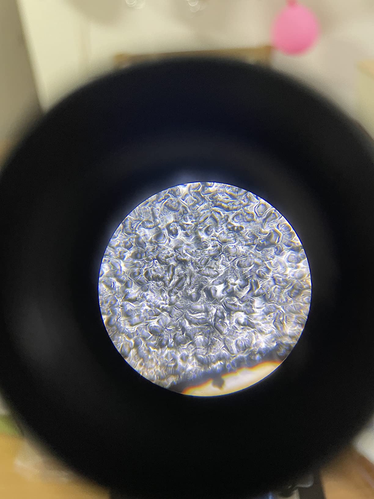 Microscope for Kids Beginners Children Student, 40X-1000X Compound Microscopes with 52 pcs Educational Kits customer photo 1