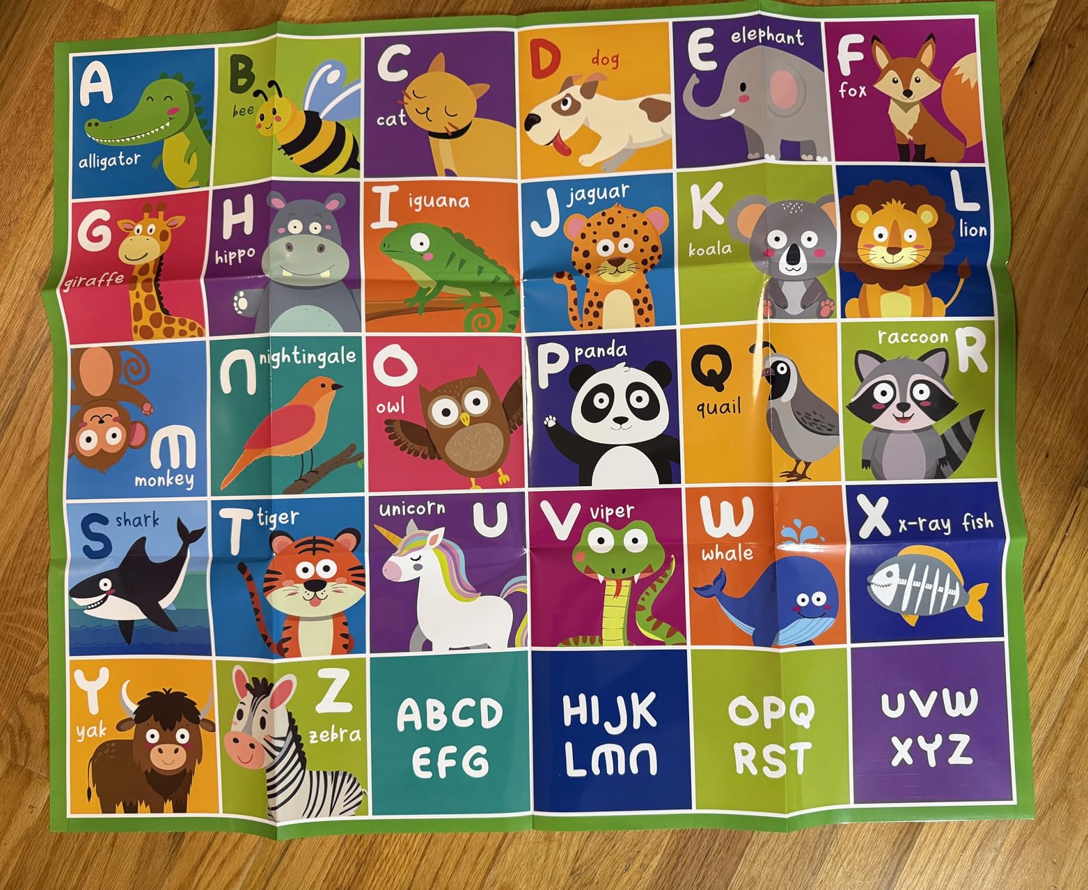 Apitor Robot Bear Screen-Free STEM Coding Robot for Toddlers Ages 3-5 | ABC Alphabet Learning Map, Early Programming, Develop Fine Motor Skills, Classroom & Family Play, LED Eyes & Sounds customer photo 1