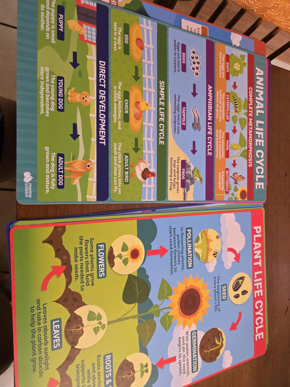 United States and World Map For Kids Classroom Posters 2pc Set - 24