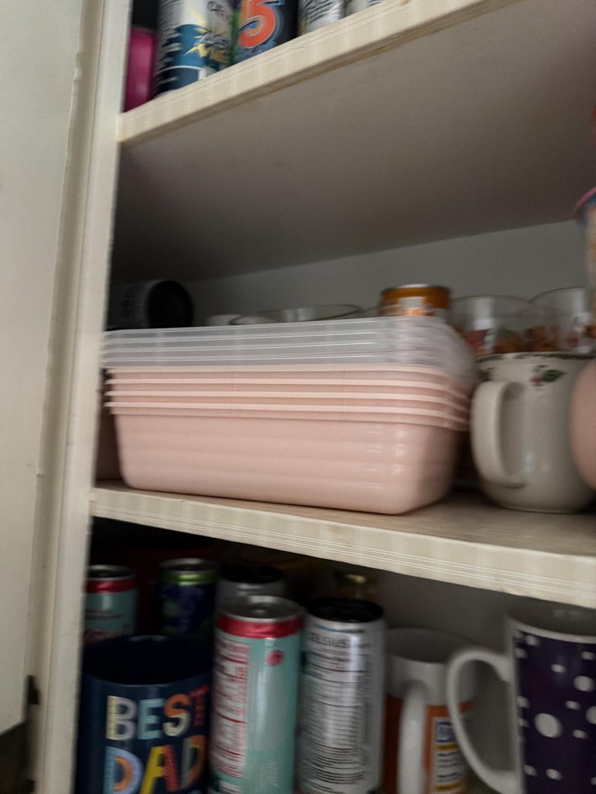 Bentgo Prep Meal Prep Containers with Lids, 20 Piece, PFAS & BPA-Free | 4-Cup Capacity, Portion Control, Stackable, Microwave, Freezer & Dishwasher-Safe, Reusable customer photo 1
