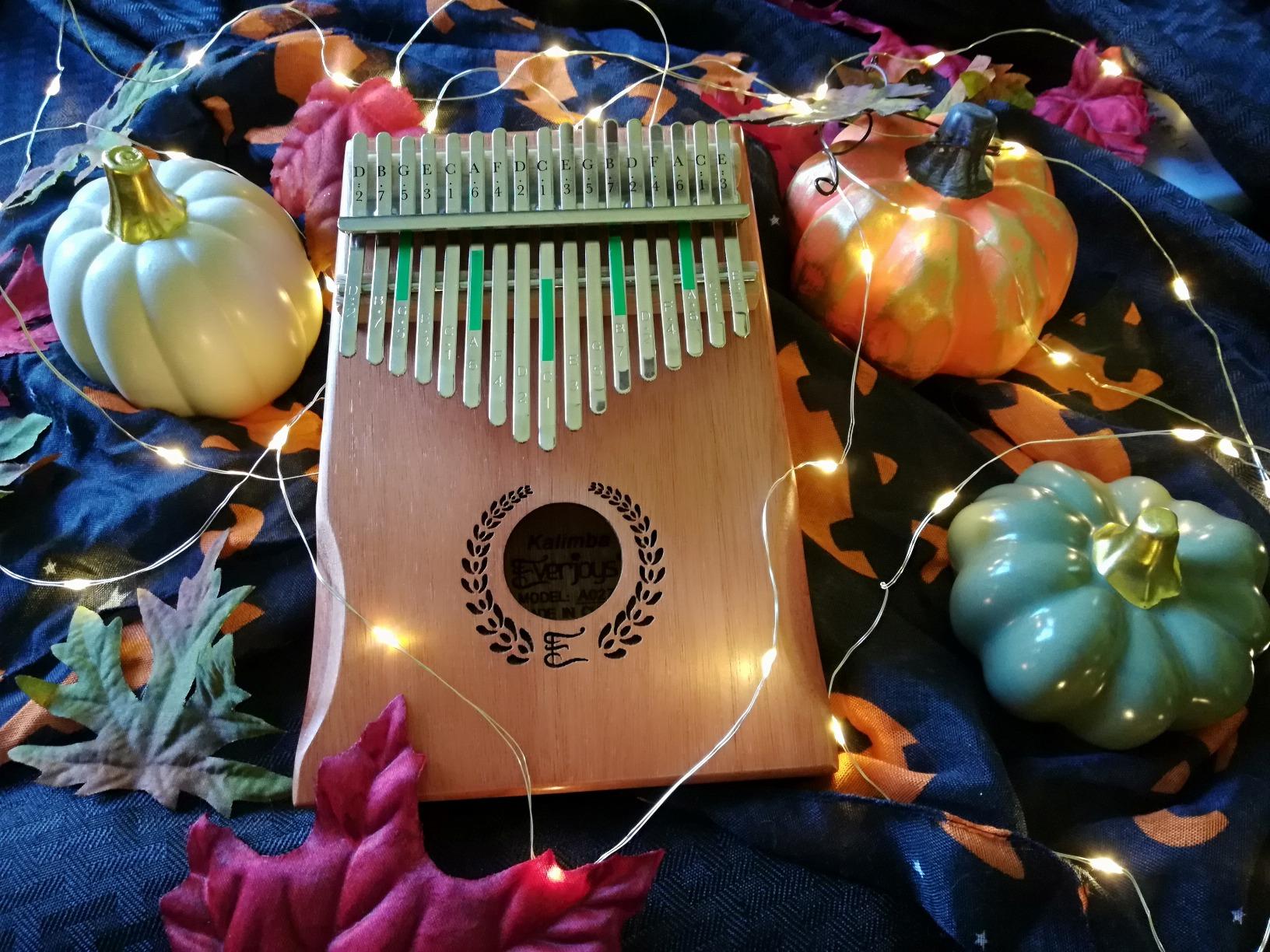 Everjoys Kalimba Thumb Piano 17 Keys, Professional Musical Instrument Finger Piano Marimbas with Portable Soft Cloth Bag, Songbook, Tuning Hammer, All in One Kit customer photo 1