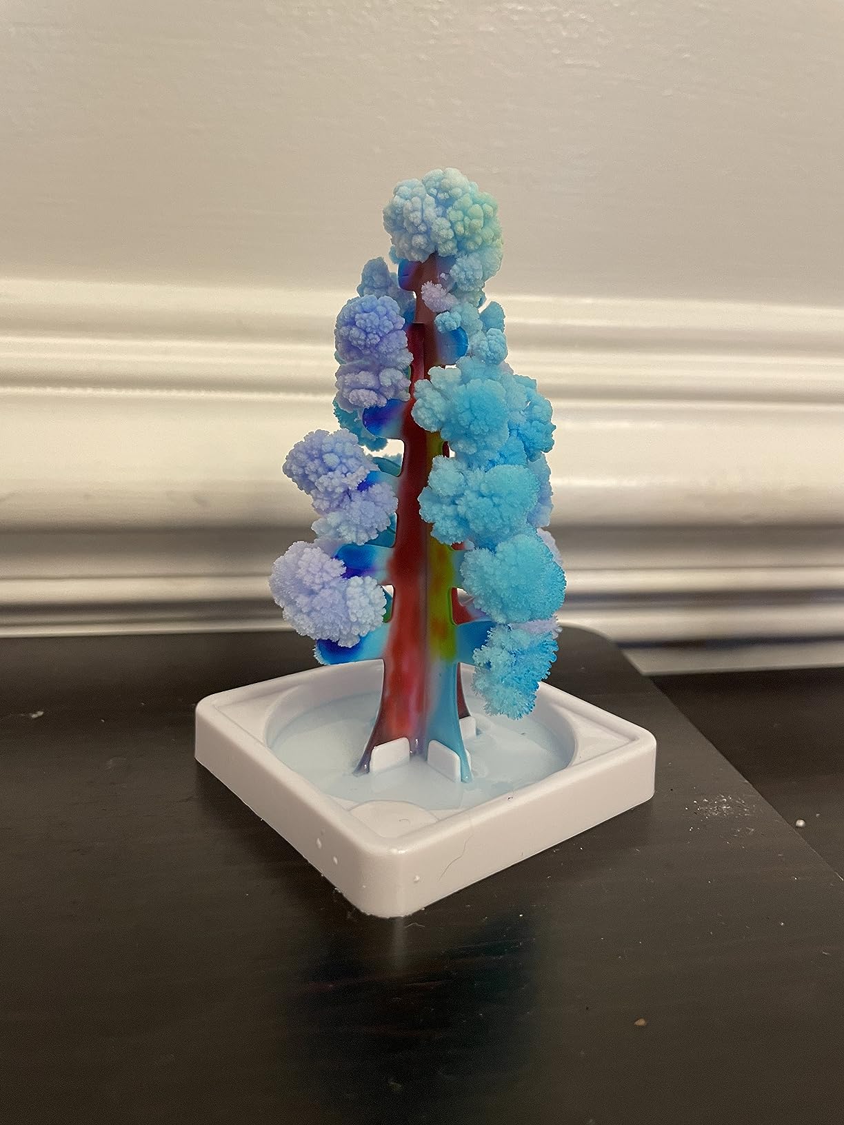 National Geographic Craft Kits for Kids - Crystal Growing Kit - Grow a Crystal Garden in Just 6 Hours, Educational Craft Includes Art Project, Geode, STEM Arts and Crafts for Girls (Amazon Exclusive) customer photo 1