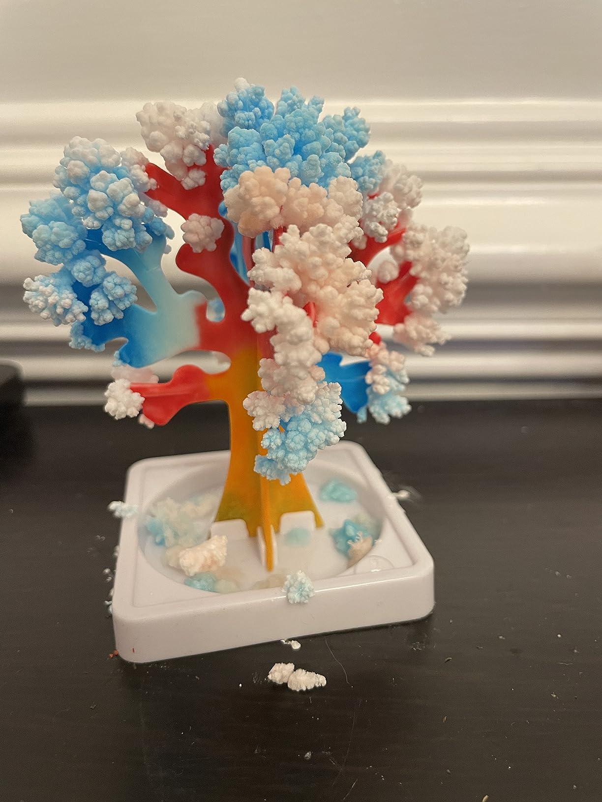 National Geographic Craft Kits for Kids - Crystal Growing Kit - Grow a Crystal Garden in Just 6 Hours, Educational Craft Includes Art Project, Geode, STEM Arts and Crafts for Girls (Amazon Exclusive) customer photo 2