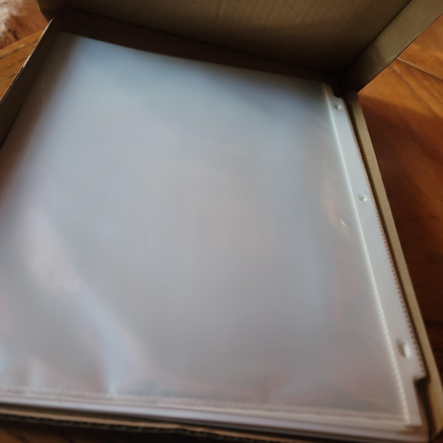 Oxford Sheet Protectors, Clear Finish, Page Protectors for 3 Ring Binder,Top Load, Letter Size Plastic Sleeves, Reinforced 3 Hole Punch for Binders, 100 per Box (33267) customer photo 2