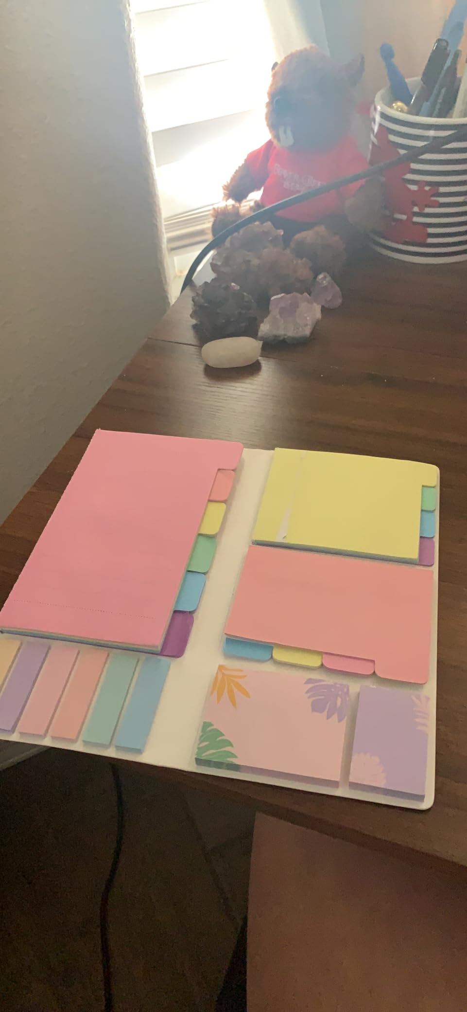 Sticky Notes Set, Post Self-Stick Notes Pads for Journaling Notebook Planner Study, Office Supplies College Essentials Back to School Supplies for High School Students Teen Girl Gifts Preppy customer photo 1
