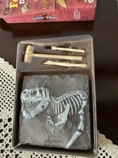 DANCING BEAR Fossil Dig Kit, Excavate 15 Prehistoric Fossils including Real Dinosaur Bones, and Shark Teeth, Paleontology STEM Education for kids, Fun Science Activity Gift Sets for Girls and Boys customer photo 2