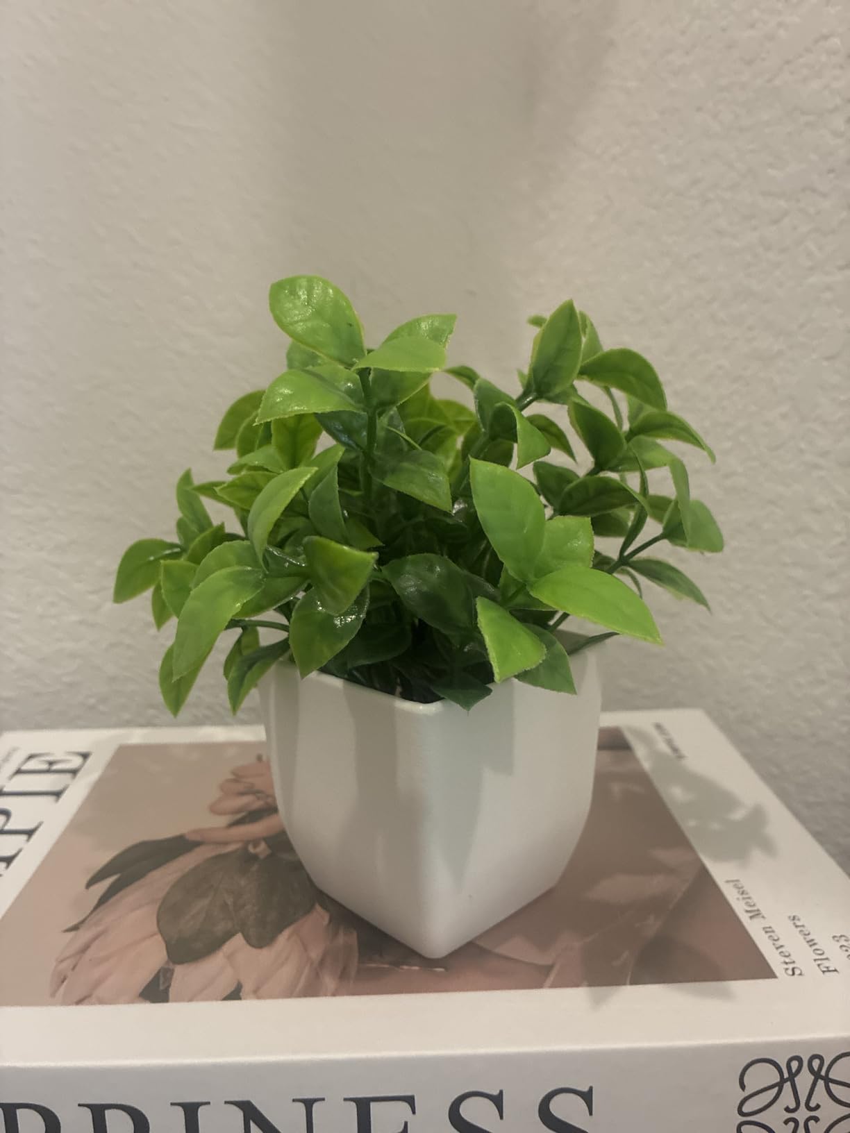 Der Rose 2 Pack Fake Plants Small Faux Plants Indoor for Office Desk Decor | Eco-friendly,weather resistant and adjustable,perfect for bathroom shelf decor, evergreen year-round without maintenance customer photo 1