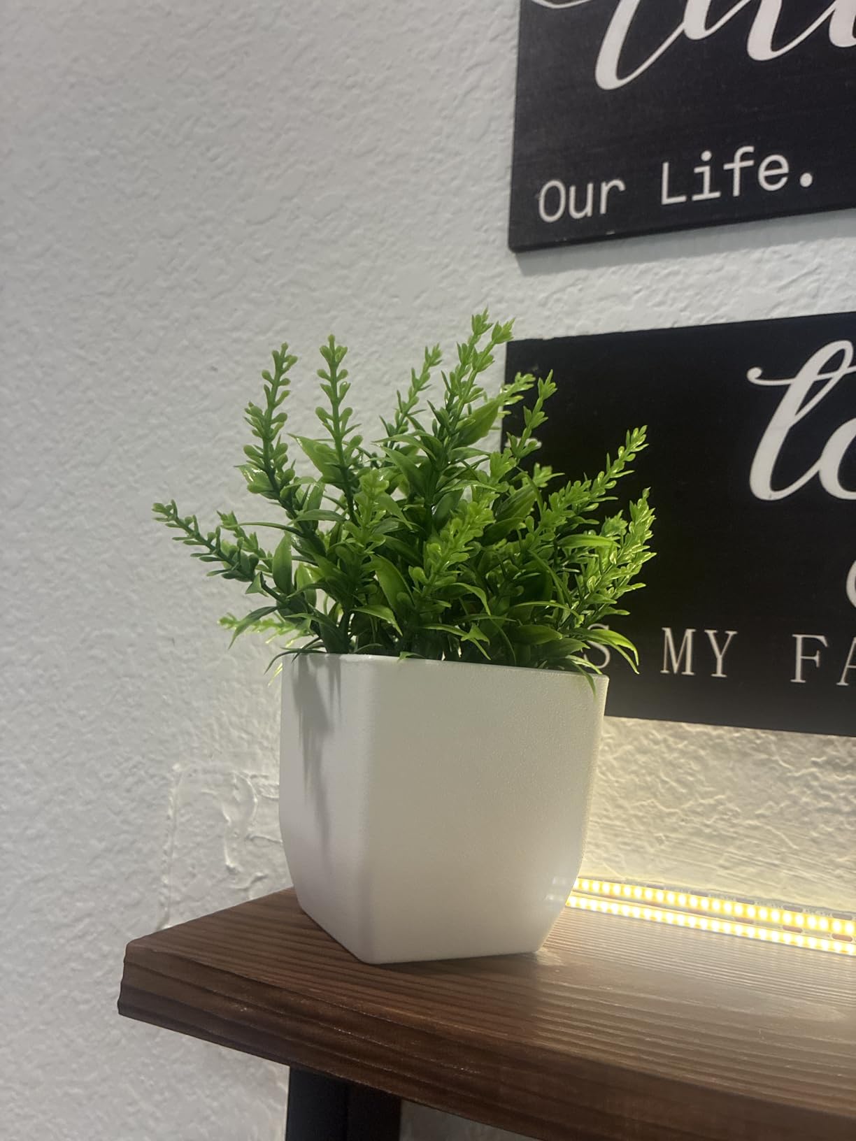 Der Rose 2 Pack Fake Plants Small Faux Plants Indoor for Office Desk Decor | Eco-friendly,weather resistant and adjustable,perfect for bathroom shelf decor, evergreen year-round without maintenance customer photo 2