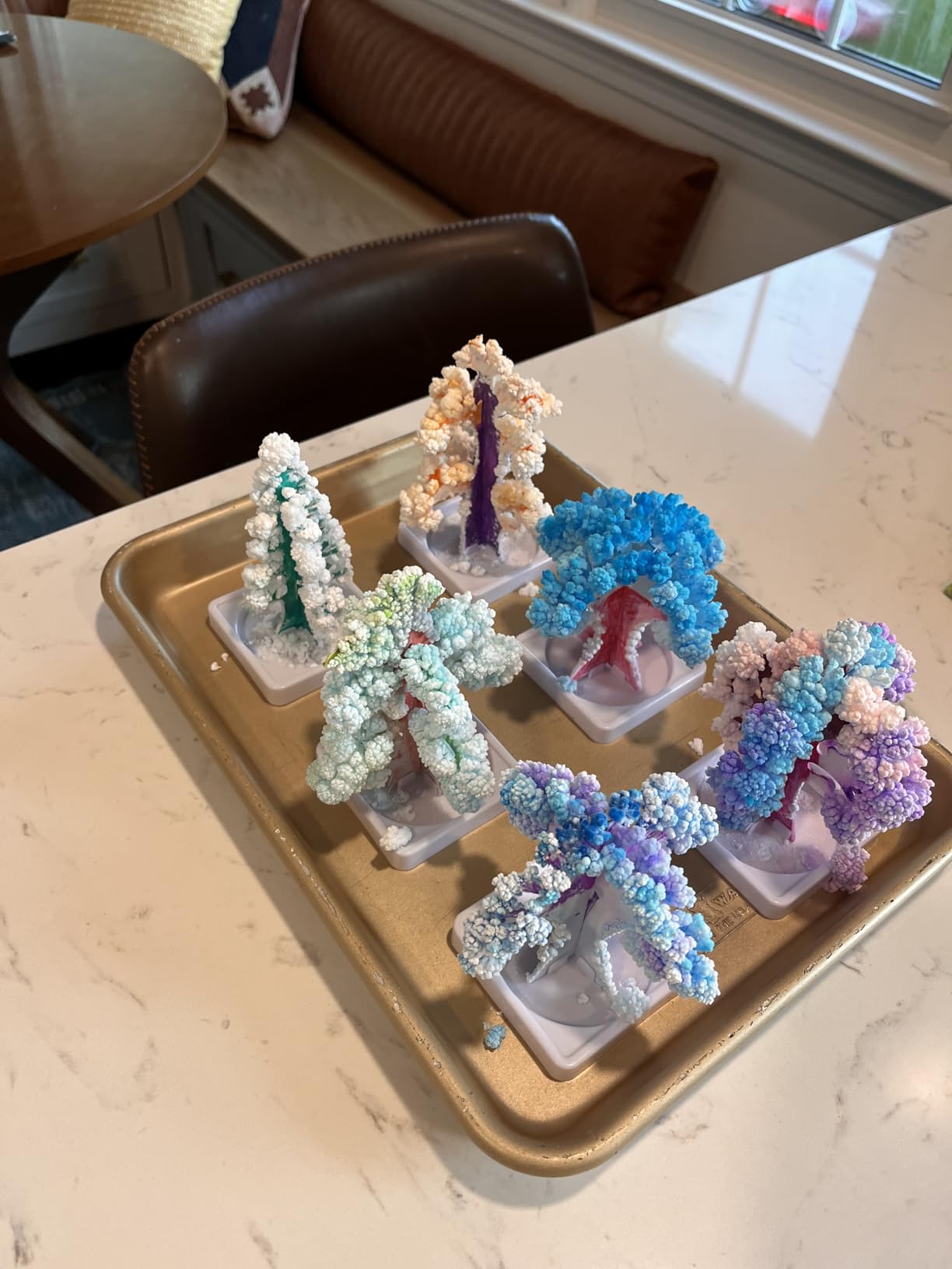 National Geographic Craft Kits for Kids - Crystal Growing Kit, Grow 6 Crystal Trees in Just 6 Hours, Educational Craft Kit with Art Supplies, Geode Specimen, STEM Arts & Crafts Kit (Amazon Exclusive) customer photo 1