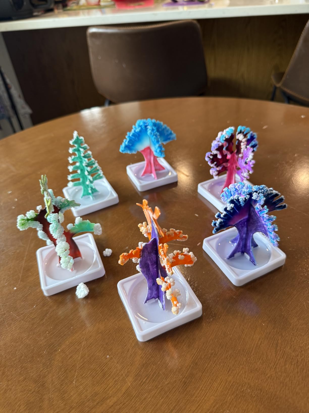 National Geographic Craft Kits for Kids - Crystal Growing Kit, Grow 6 Crystal Trees in Just 6 Hours, Educational Craft Kit with Art Supplies, Geode Specimen, STEM Arts & Crafts Kit (Amazon Exclusive) customer photo 2