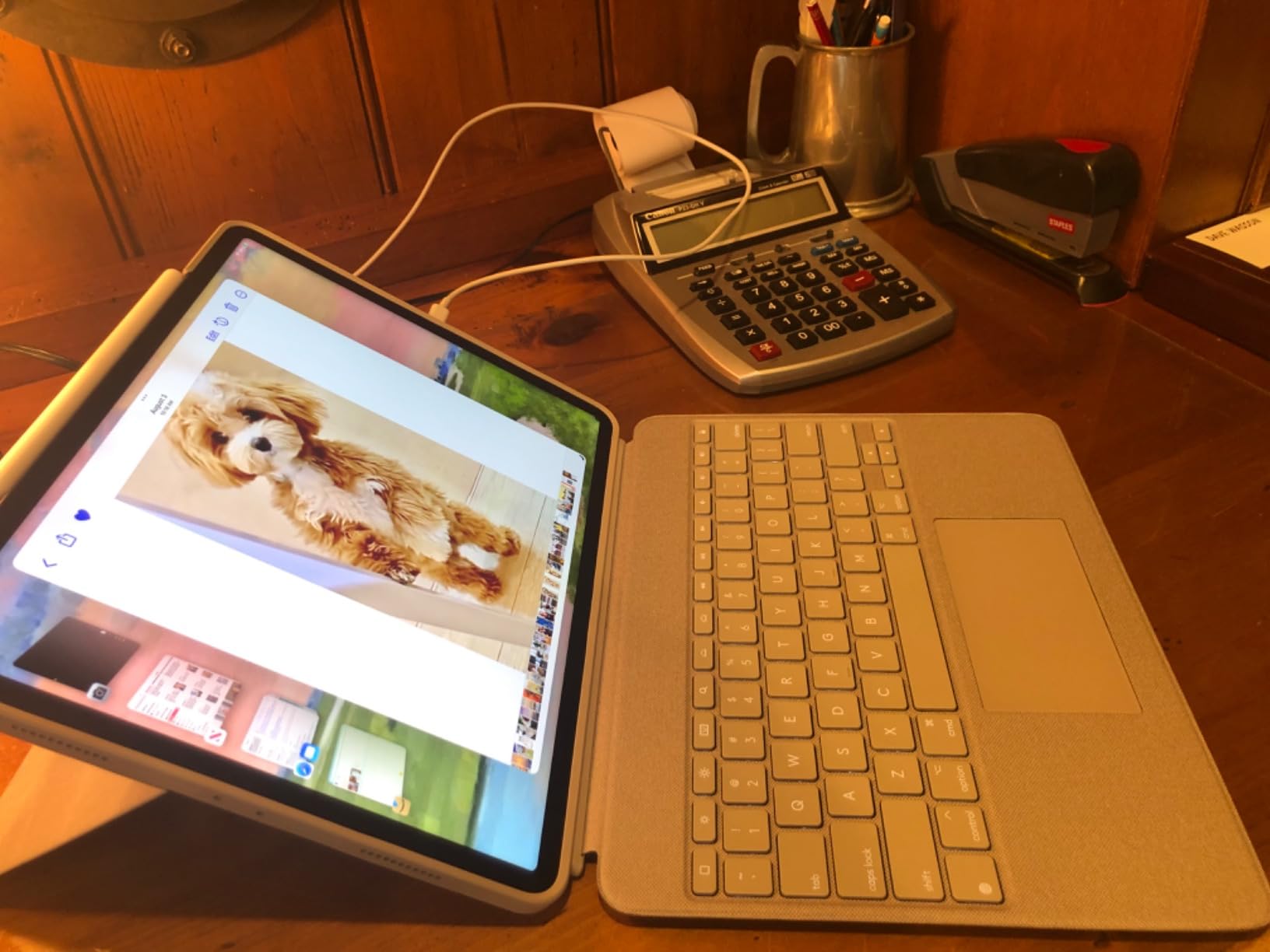 Apple iPad Pro (6th Generation, 12.9-inch, 2022), 256GB, Wi-Fi, Space Gray (Renewed) customer photo 2