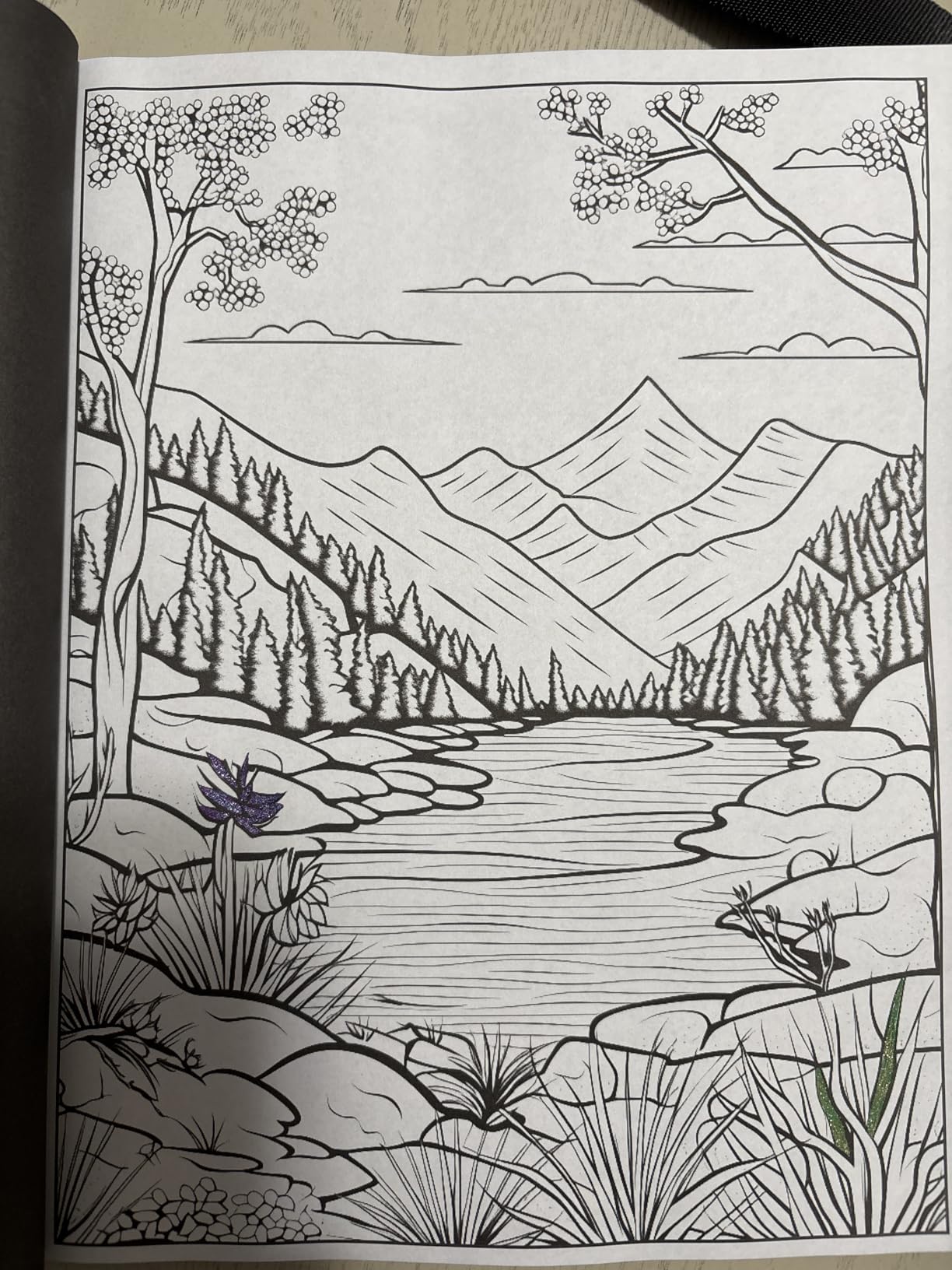 101 CALMNESS: Adult Coloring Book - Relaxing Book to Calm your Mind and Stress Relief - Beautiful Designs of Animals, Landscape, Beach, House, Birds, Flowers, and more customer photo 1