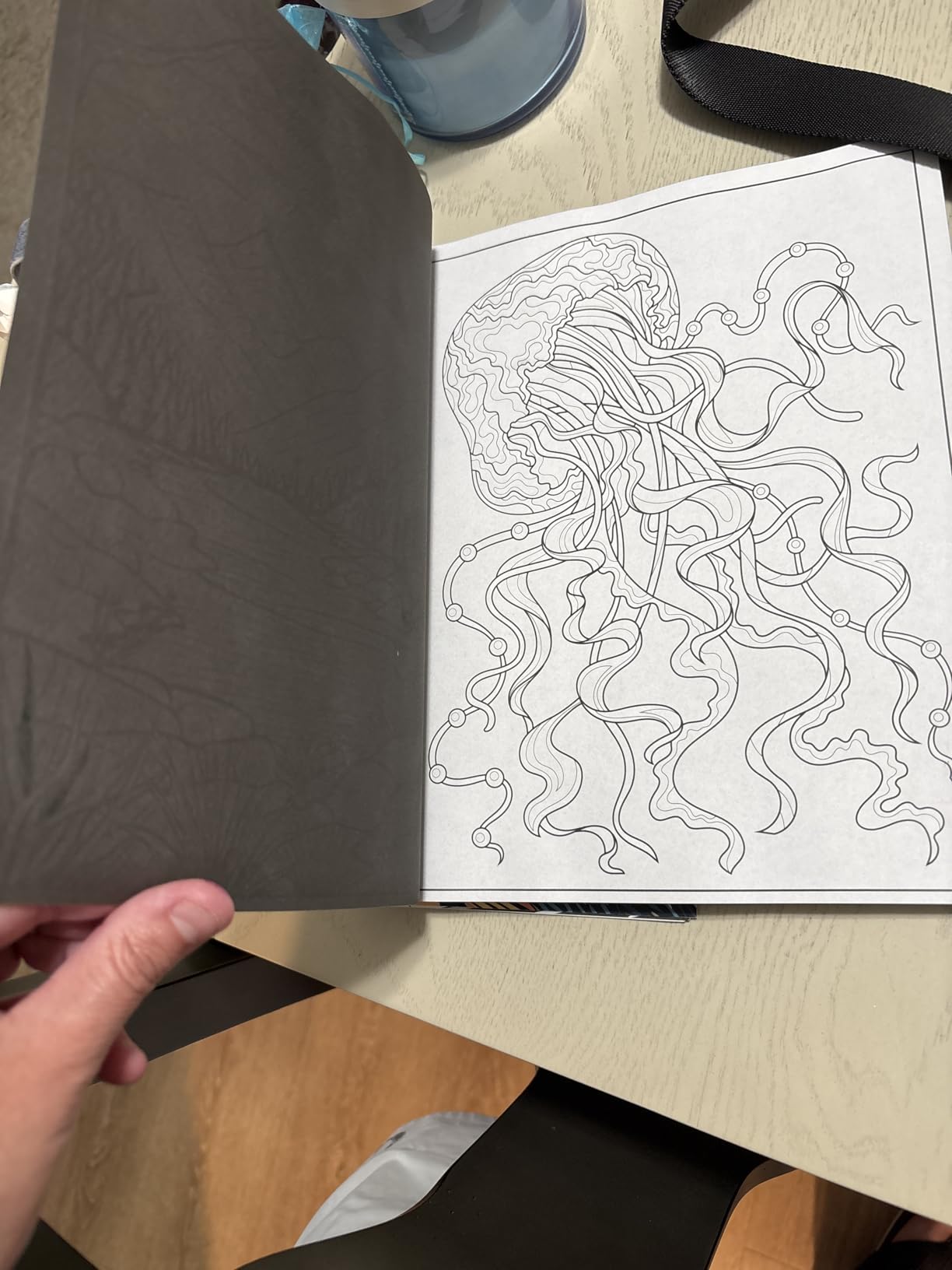 101 CALMNESS: Adult Coloring Book - Relaxing Book to Calm your Mind and Stress Relief - Beautiful Designs of Animals, Landscape, Beach, House, Birds, Flowers, and more customer photo 2
