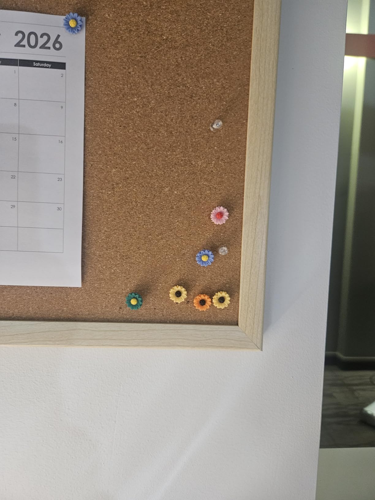 40Pcs Push Pins, Thumb Tacks for Bulletin Board, Flower Decorative Pins and Tacks customer photo 1