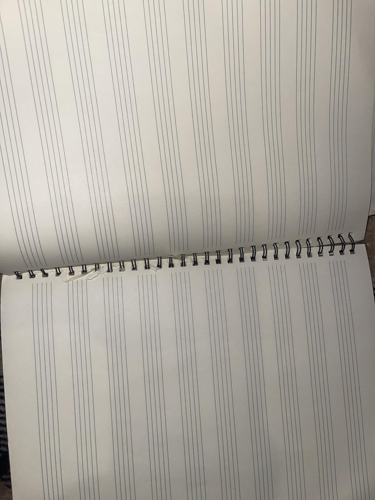 MAXCURY Blank Sheet Music Composition Manuscript Staff Paper Notebook, 100 Pages customer photo 1