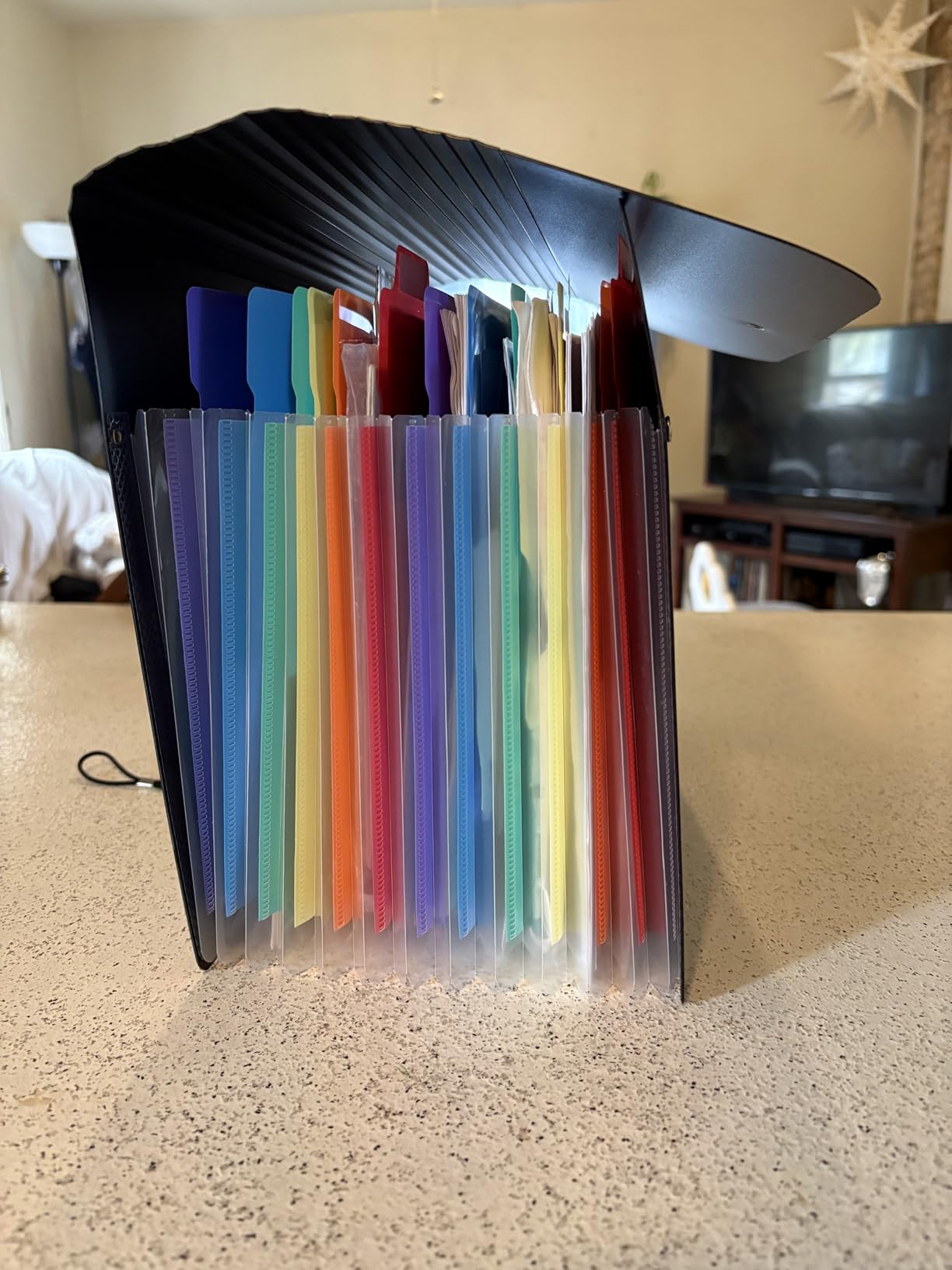Sooez Accordion File Organizer, 13-Pocket Expanding File Folder Letter Size | Deeper 13-Pocket Keep Index Tabs Visible, Thickened Cover, Monthly Bill Paper Receipt Document Organizer, Home Office School customer photo 1