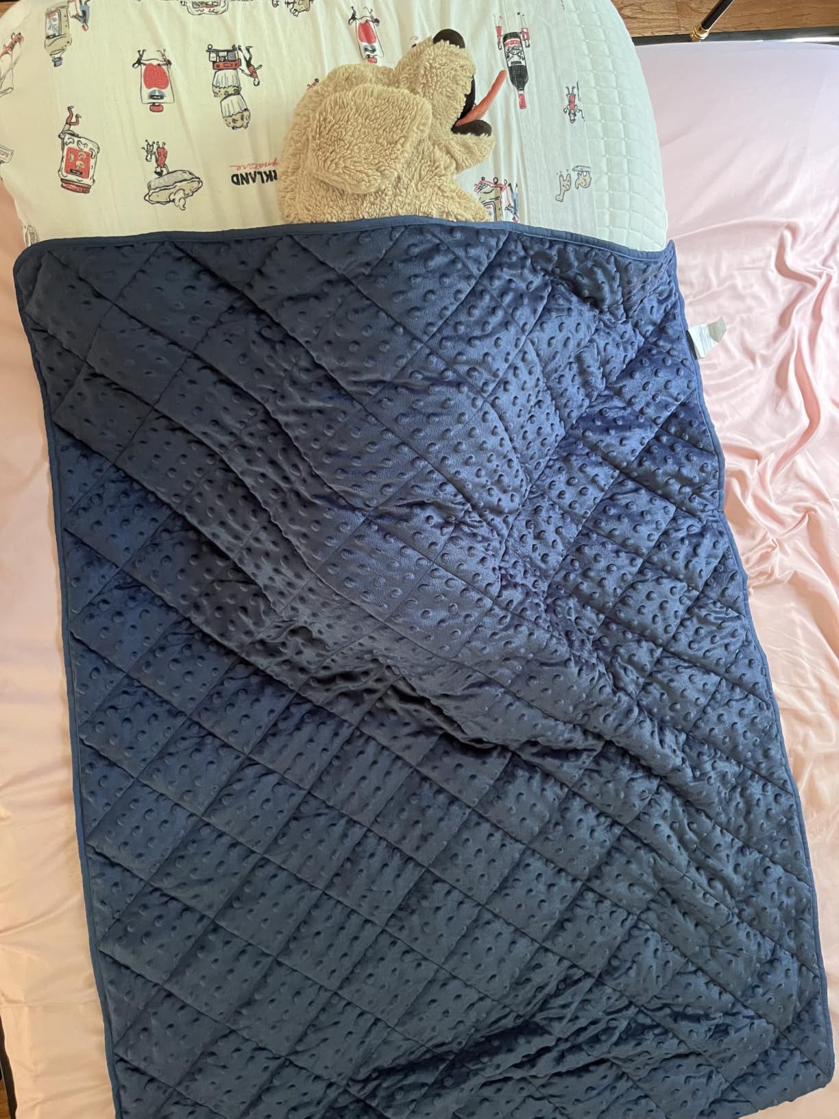 yescool Weighted Blanket Kids 5 Pounds, Minky Kids Blanket Gifts for Boys Girls, Small Weighted Throw Blankets Washable Heavy Blankets, Winter Weighted Comforter for 5 6 7 8 9 Year Old, 36 * 48in customer photo 2