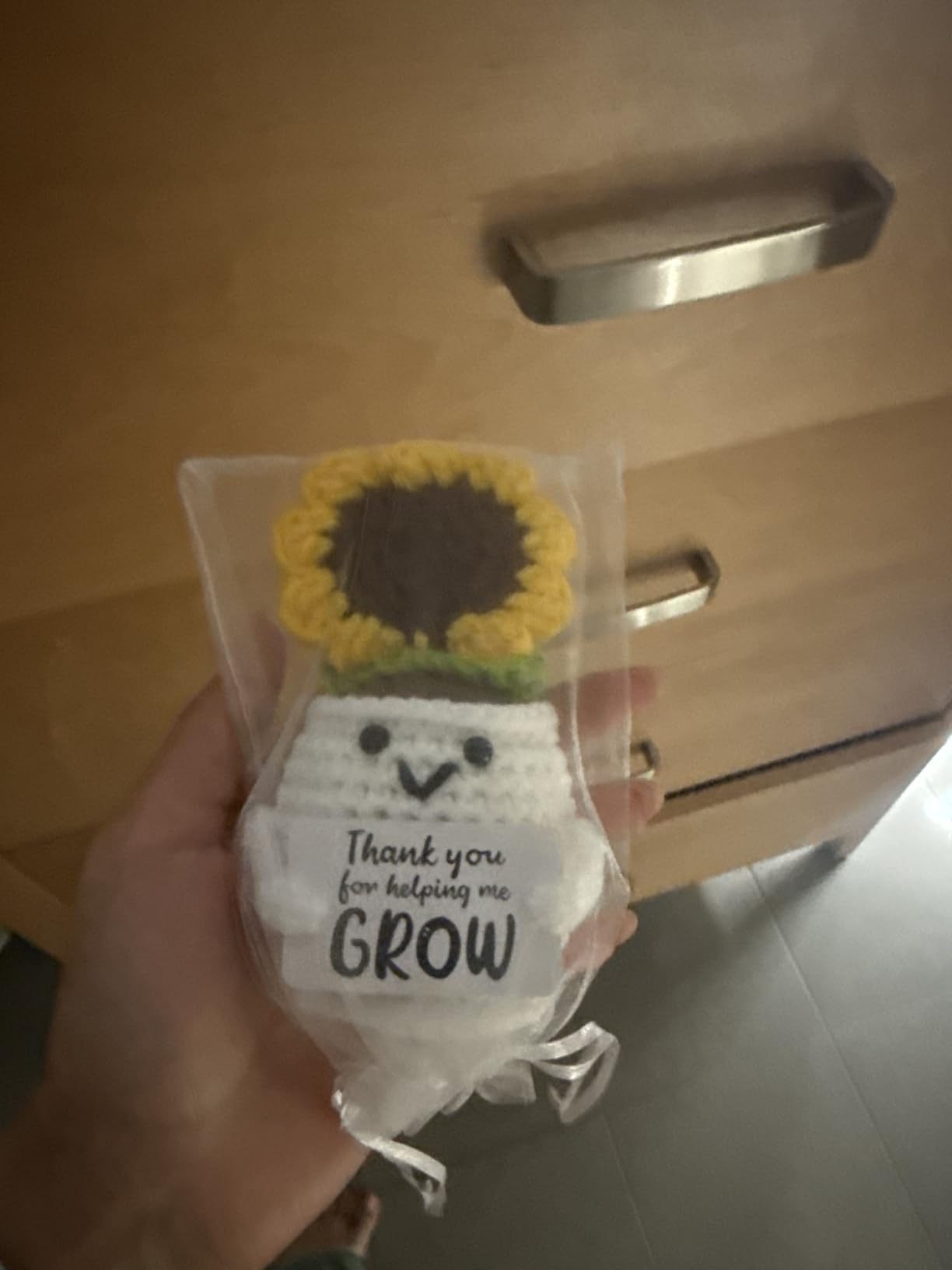 MBL Teacher Retirement Gift for Woman - Crochet Flower Sunflower, Appreciation Thank You Farewell Leaving Gift for Coworker Boss customer photo 1