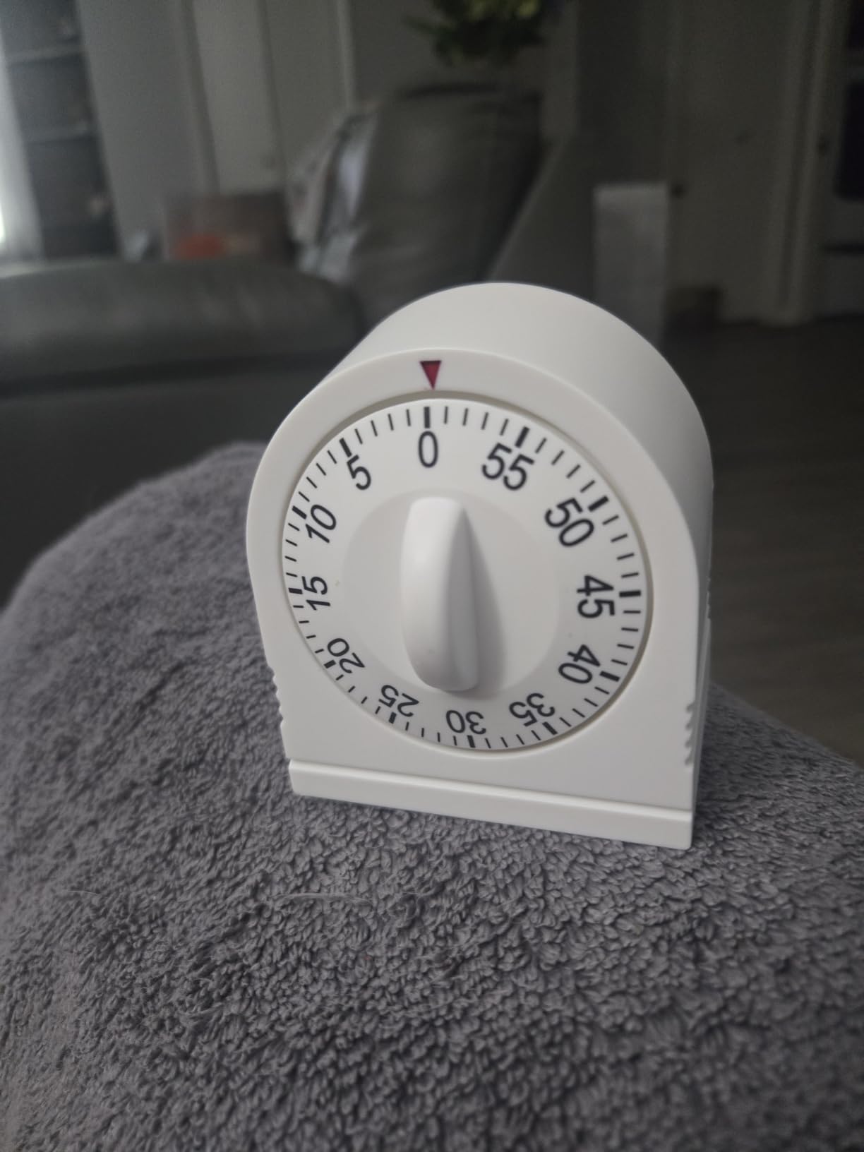 60 Minute Wind Up Timer, Visual Mechanical Timer with Loud Alarm, Manual Countdown Timers for Classroom, Home, Study and Cooking (White) customer photo 1
