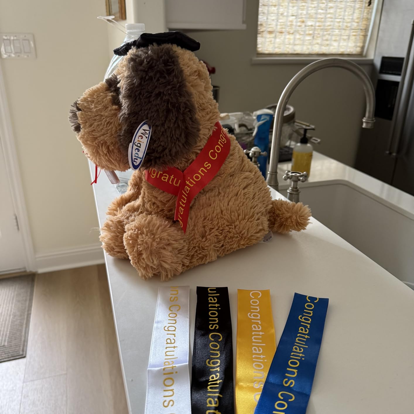 WEIGEDU Graduation Dog Puppy Stuffed Animal Plush Toy, 12