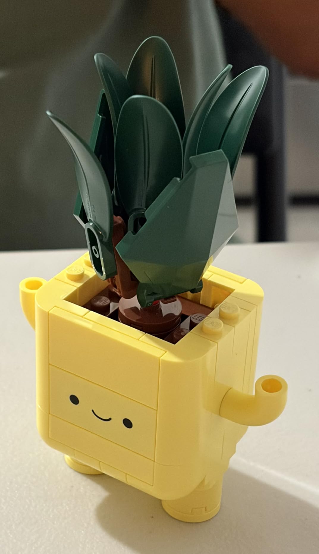 LEGO Botanicals Happy Plants Building Toy for Kids, Girls, and Boys 9+ - Playroom Decor for Desk or Shelf - Birthday Gift Idea for Young Gardeners - Artificial Indoor Plant for Play & Display customer photo 2