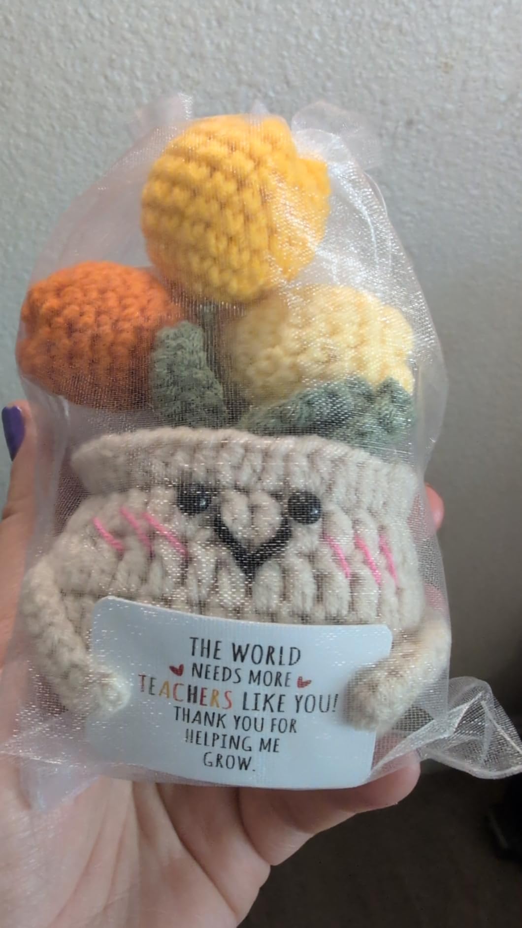 OASSIE Teacher Gifts for Women Men - Positive Crochet Tulip, Back to School | Thank You Gifts for Women Teachers, Emotional Support Crochet, Handmade Keepsake, Soft Yarn Texture, Classroom Decor customer photo 2