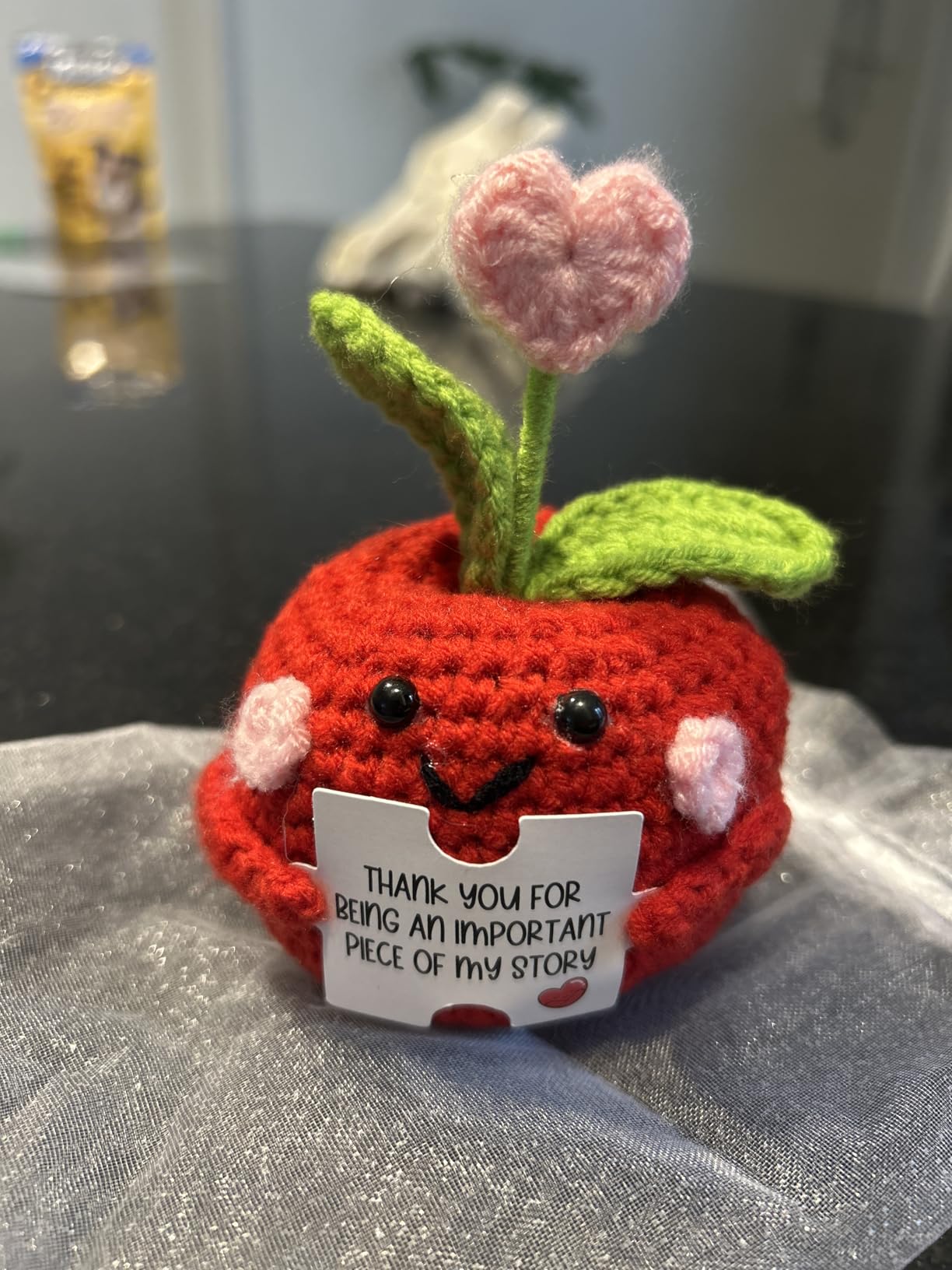 OASSIE Teacher Gifts for Women Men - Positive Apple Crochet, Back to School | Thank You Gifts for Women Teachers, Emotional Support Crochet, Handmade Keepsake, Soft Yarn Texture, Classroom Decor customer photo 2