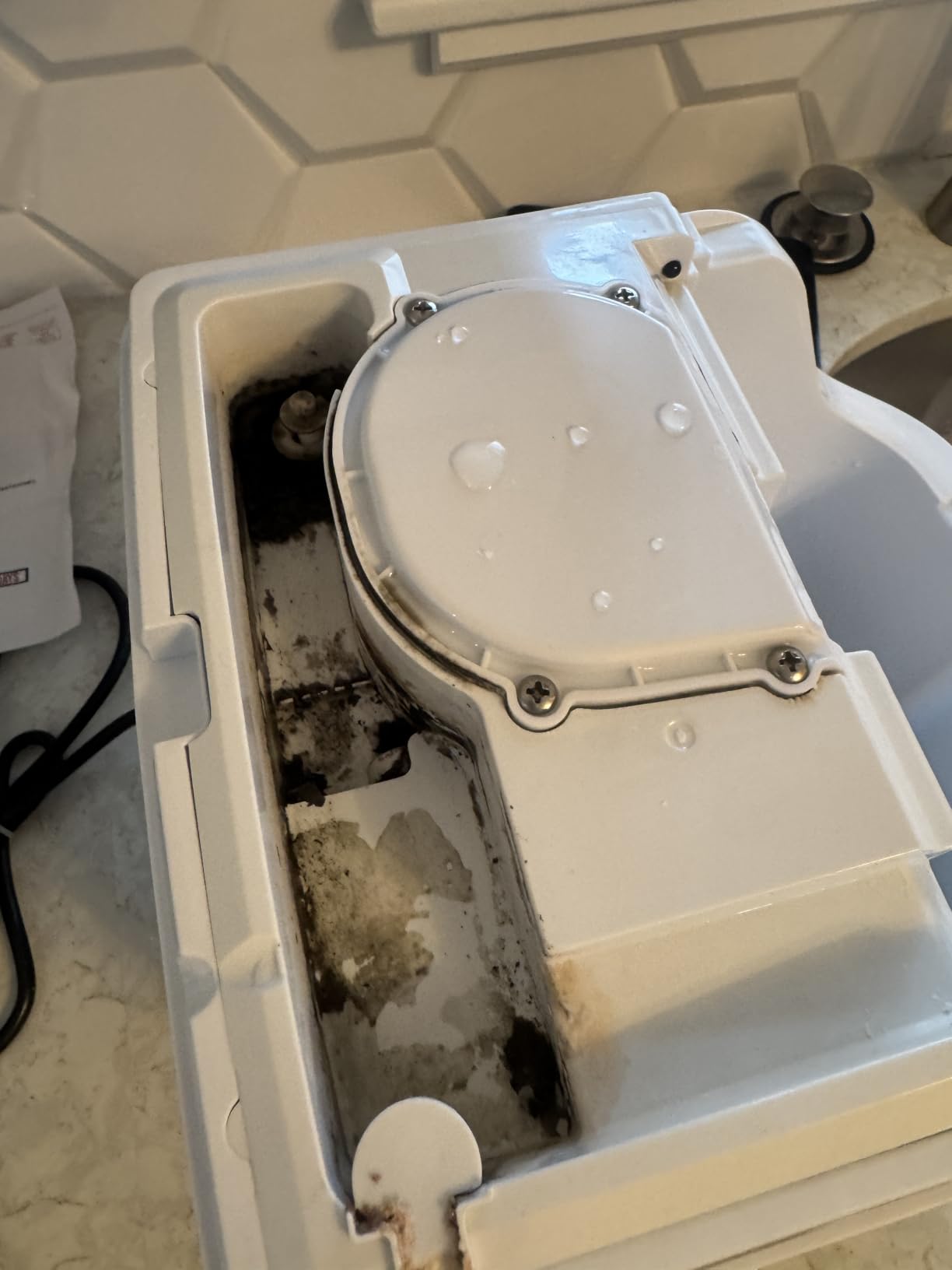 Kismile Nugget Ice Maker Countertop, 35 lbs/Day, Stainless Steel, Portable Sonic Ice Maker & Pebble Ice Machine, First Ice in 7 Mins, 43 dB Quiet, One-Touch Self-Cleaning for Home & Office customer photo 1