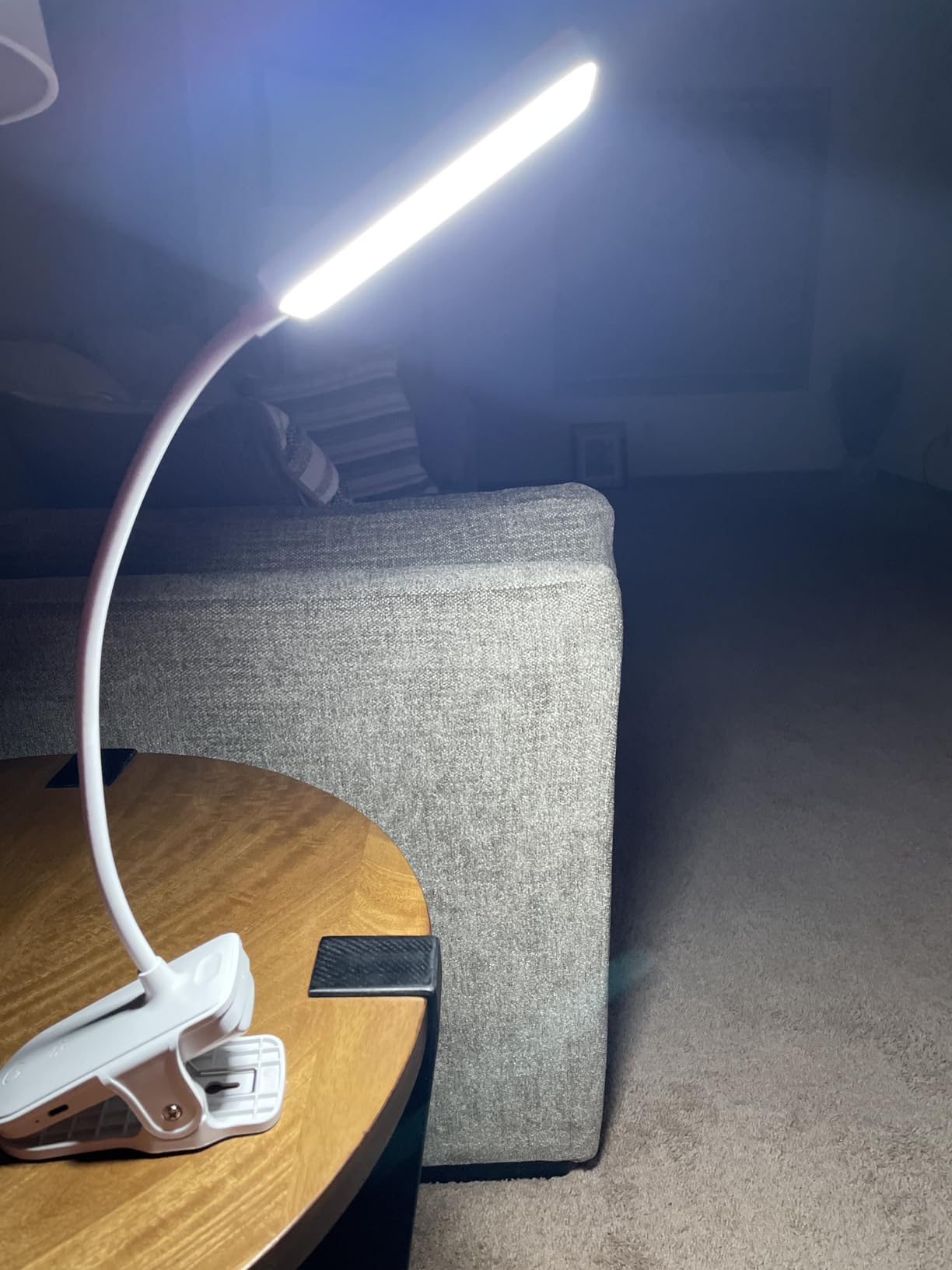 Clip on Light, 9 Brightness+5 Color Rechargeable Lamp, 48 LED Small Desk Lamp | 4000mAh Battery Powered Lamp, 450 Lumen Clamp Light, Wireless & Cordless Book Reading Light for Bed/Bedside Table/Bedroom/Dorm customer photo 1