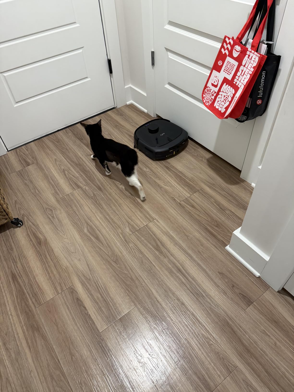 eufy E25 Robot Vacuum and Mop Combo, 20,000 Pa, HydroJet Roller Mop, Extendable Side Brush, Zero-Tangle Design, All-in-One Station, AI Obstacle Avoidance, Edge-to-Corner Cleaning customer photo 2