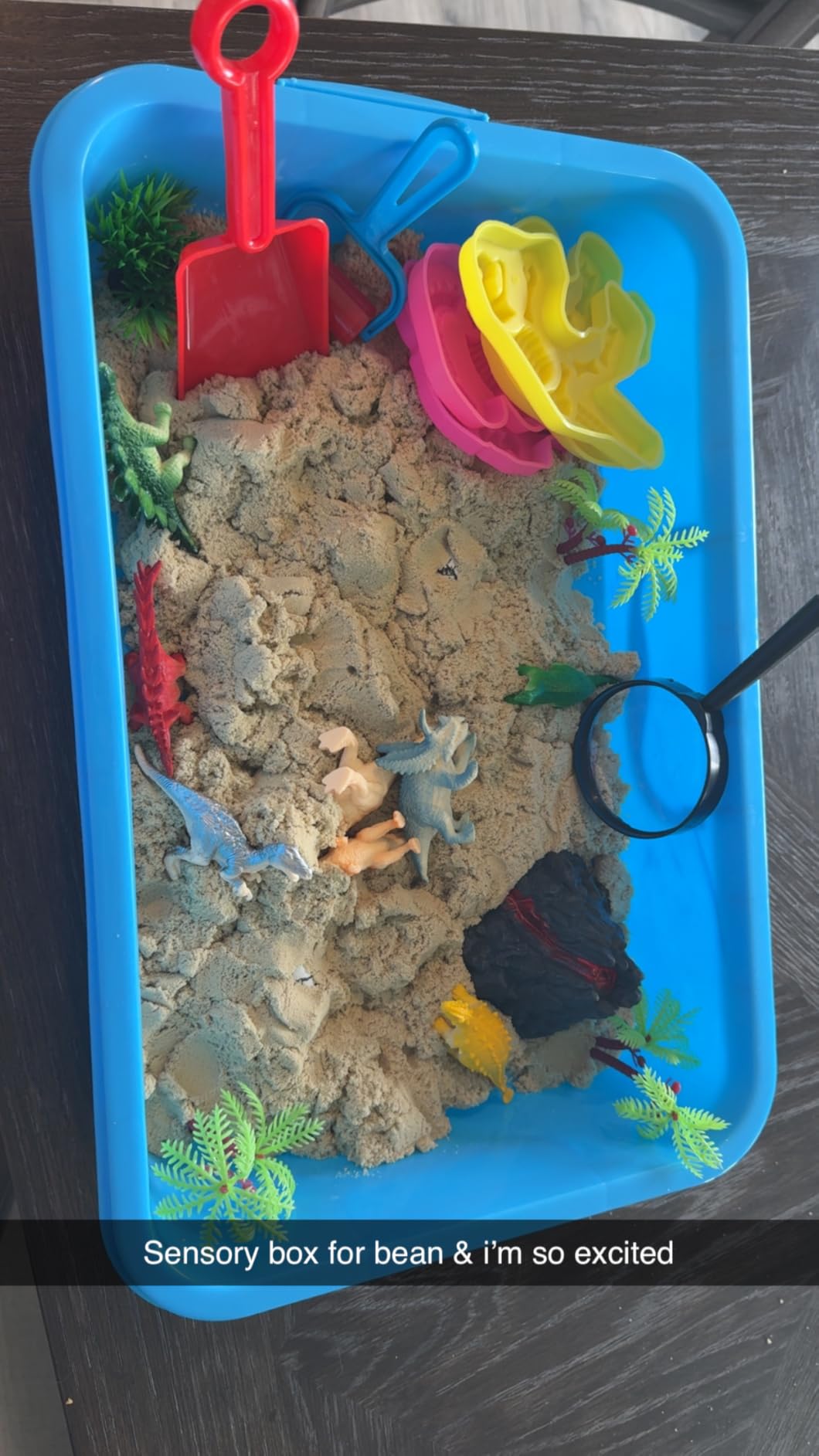 Dinosaur Sensory Sand Kit for Kids, Complete Sensory Bin with Lid | 2.64lbs Magic Sand, Dino Archaeology Tools, STEM Montessori Dinosaur Sensory Toys for Kids 3-8, Boy Christmas Birthday Gifts customer photo 2