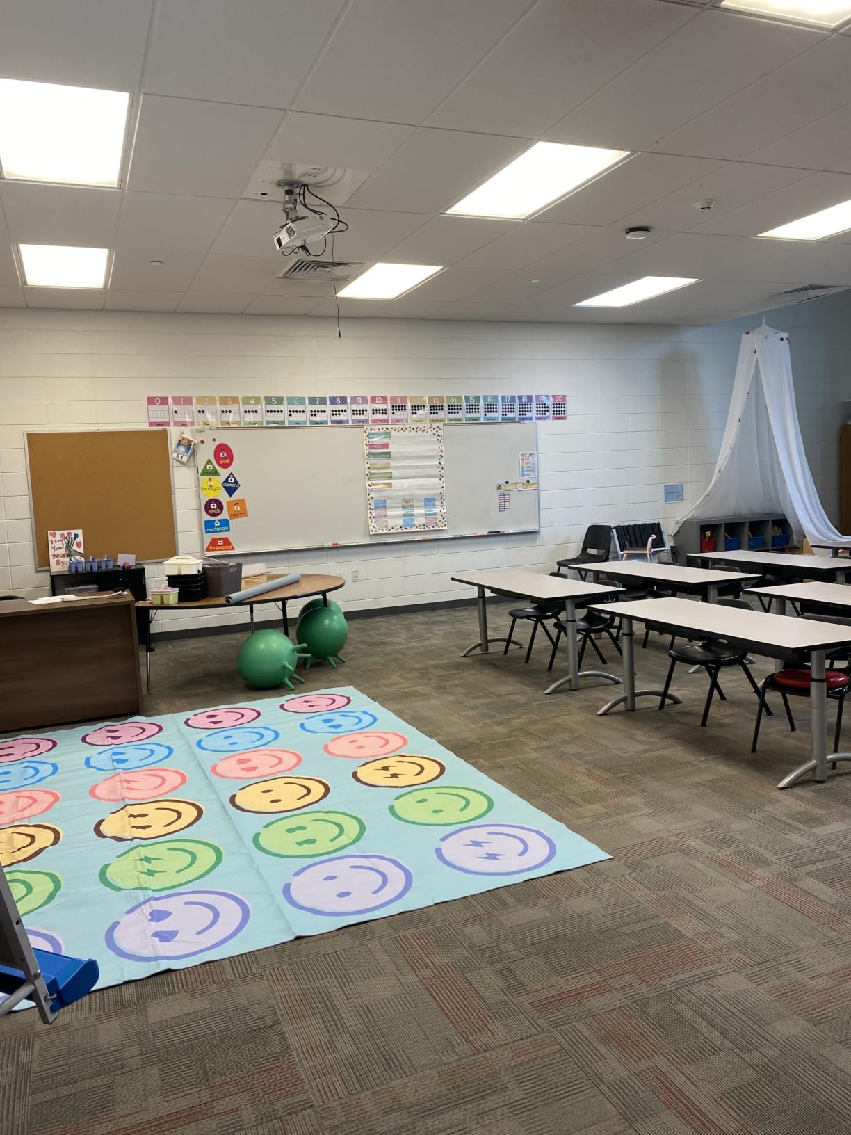 Classroom Rug 8x10 ft, Pastel Smiley Face Educational Carpet | Non-Slip Washable Play Rug, Seating Circle Time Rug for Preschool, Daycare & Elementary Classroom customer photo 1