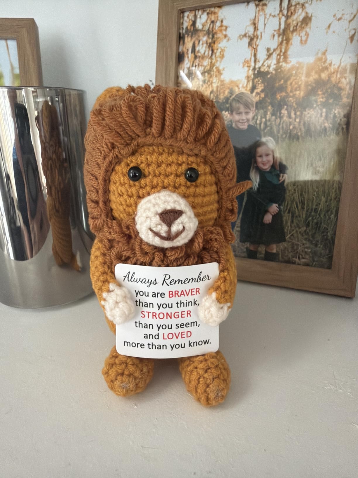 Positive Lion Back To School Gifts for Students Birthday Teen Girls Boys | Gifts for Women Men Daughter Son Sister Brother, Funny Emotional Support Crochet, Inspirational Cheer Up Gifts Christmas customer photo 1