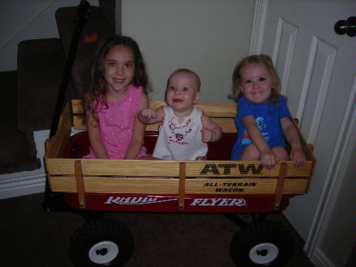 Radio Flyer Kids Wagon, Rolling Cart, Beach Cart, Carts with Wheels customer photo 1