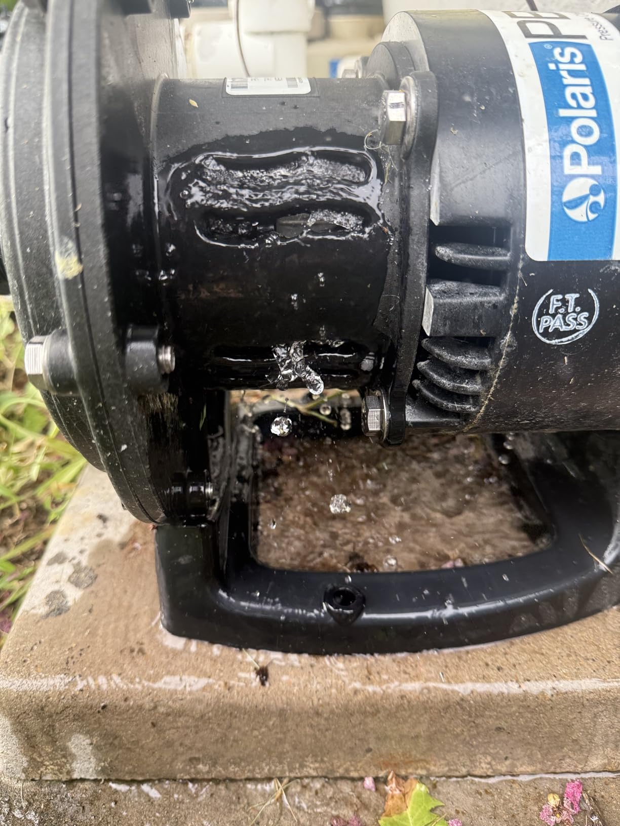Polaris PB4-60 Booster Pump with 60-Hertz Motor customer photo 1