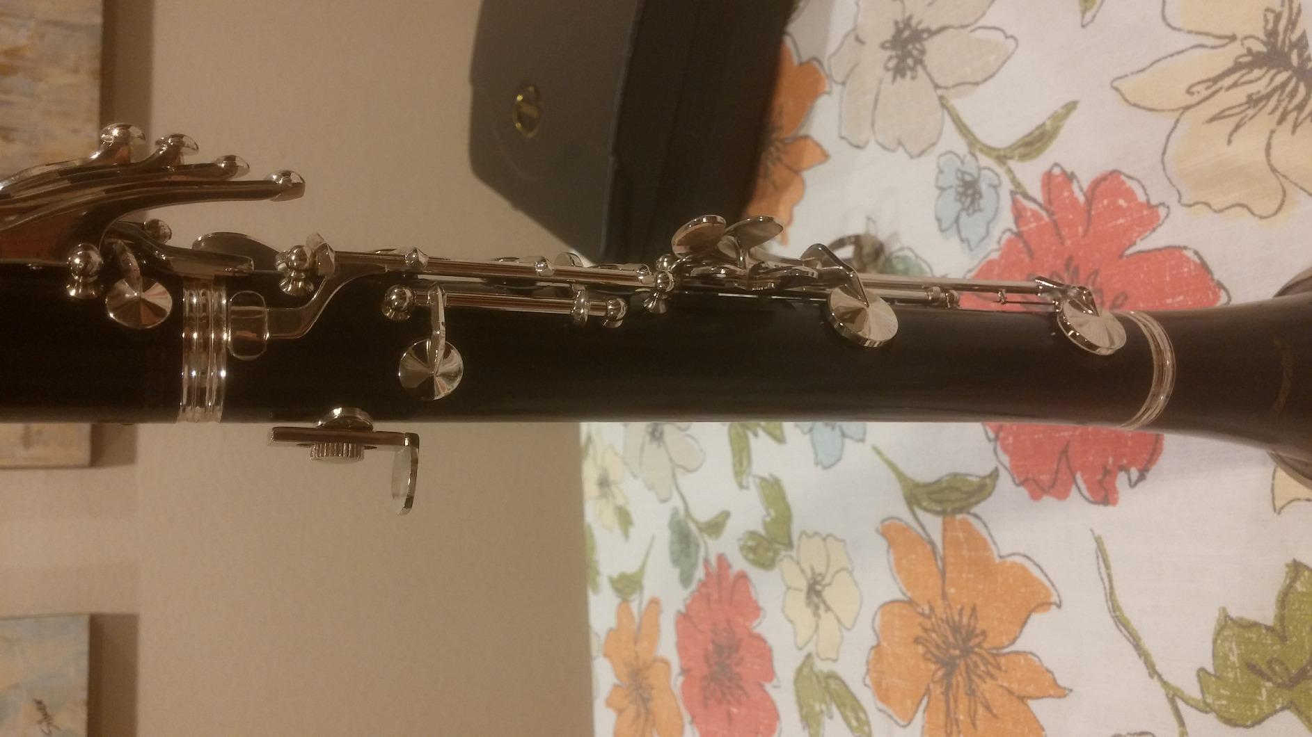 Hisonic Signature Series 2610 Bb Orchestra Clarinet with Case customer photo 1