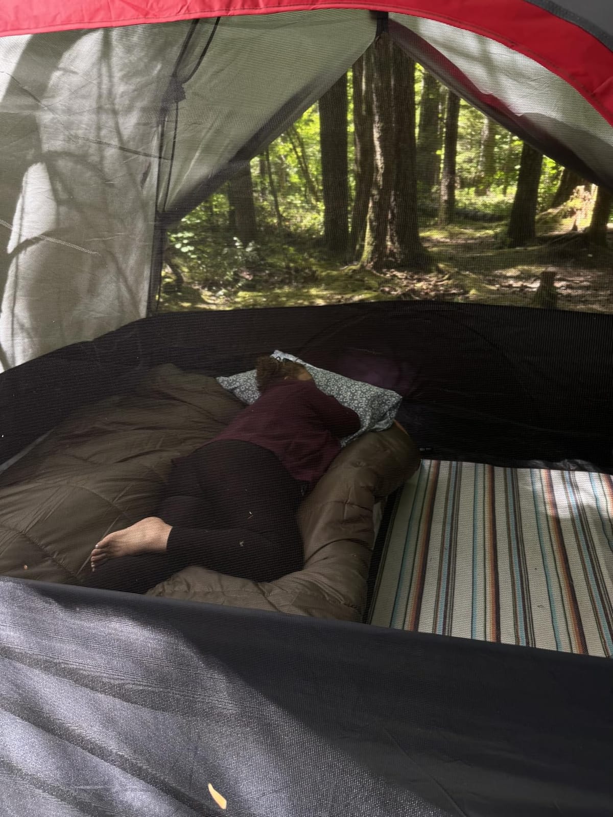 Teton Mammoth Queen Size Double Sleeping Bag- A Warm Bag the Whole Family can Enjoy – Great for Camping, Hunting and Base Camp. Compression Sack Included customer photo 1