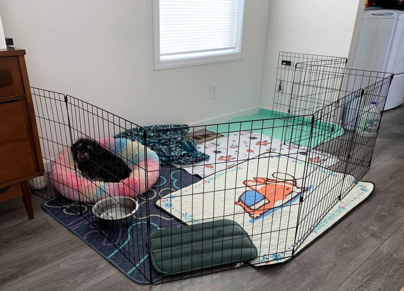 MidWest 30-Inch Exercise Pen, No Door, 16 Sq Ft Play Area customer photo 1