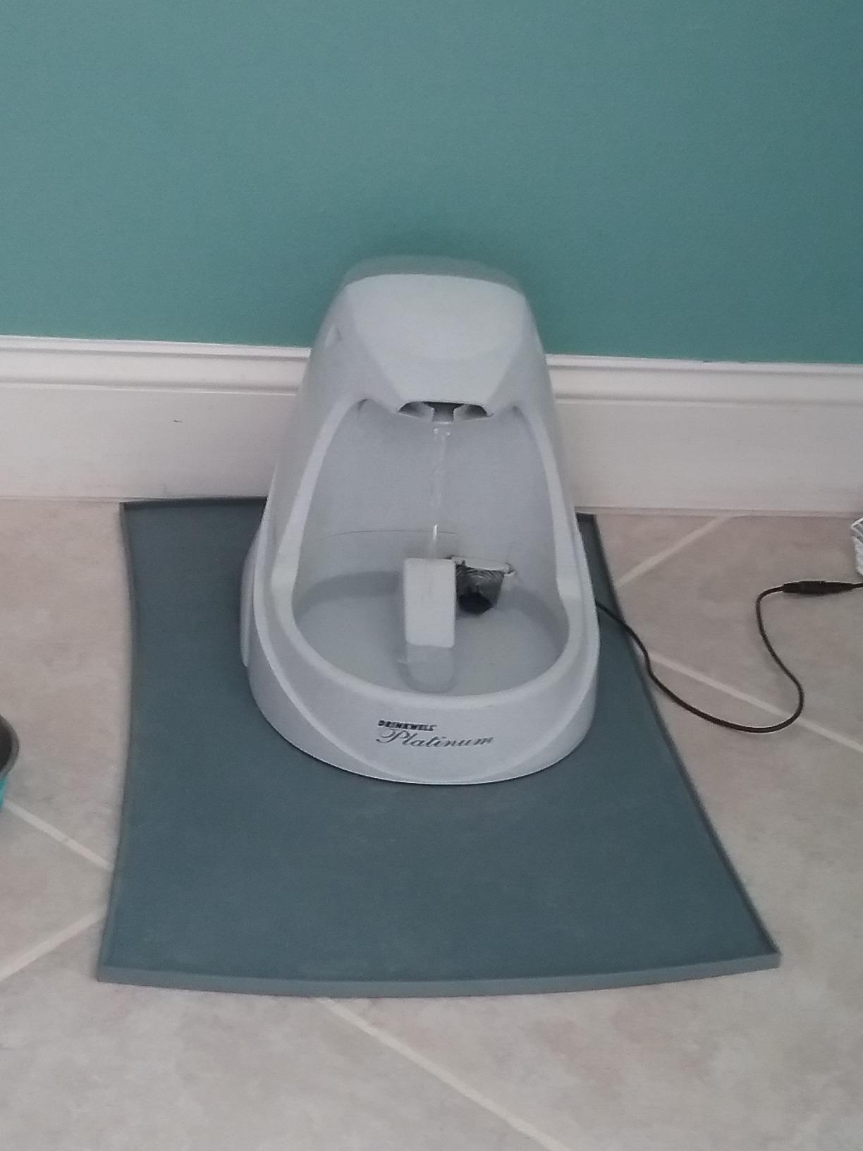 PetSafe Drinkwell Platinum Cat Water Fountain, 168 oz/5L, Grey | Free-Falling Stream Encourages Drinking, Dishwasher Safe, Large Capacity, Includes Replaceable Carbon Filter customer photo 1