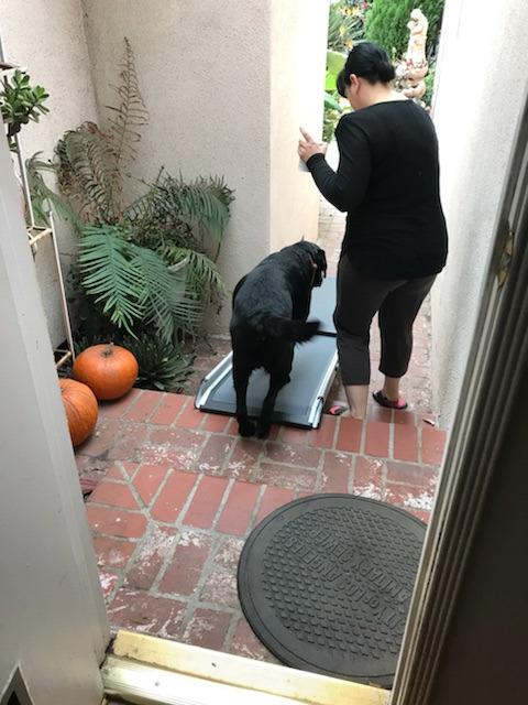 Solvit 62337 Deluxe Telescoping Pet Ramp, Standard (62305) customer photo 1