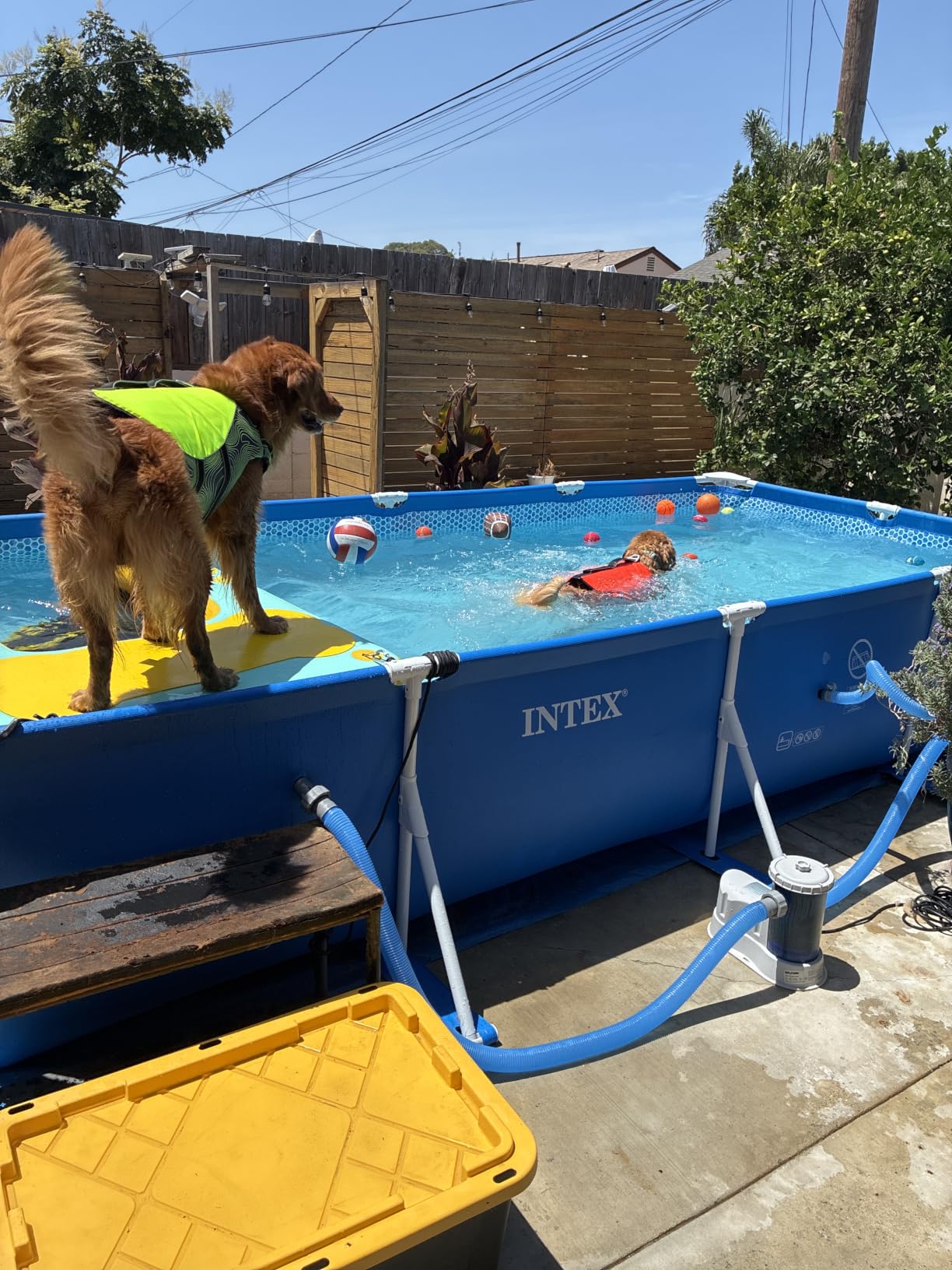 INTEX Metal Frame 14ft 9in x 7ft 3in x 33in Above Ground Swimming Pool customer photo 1