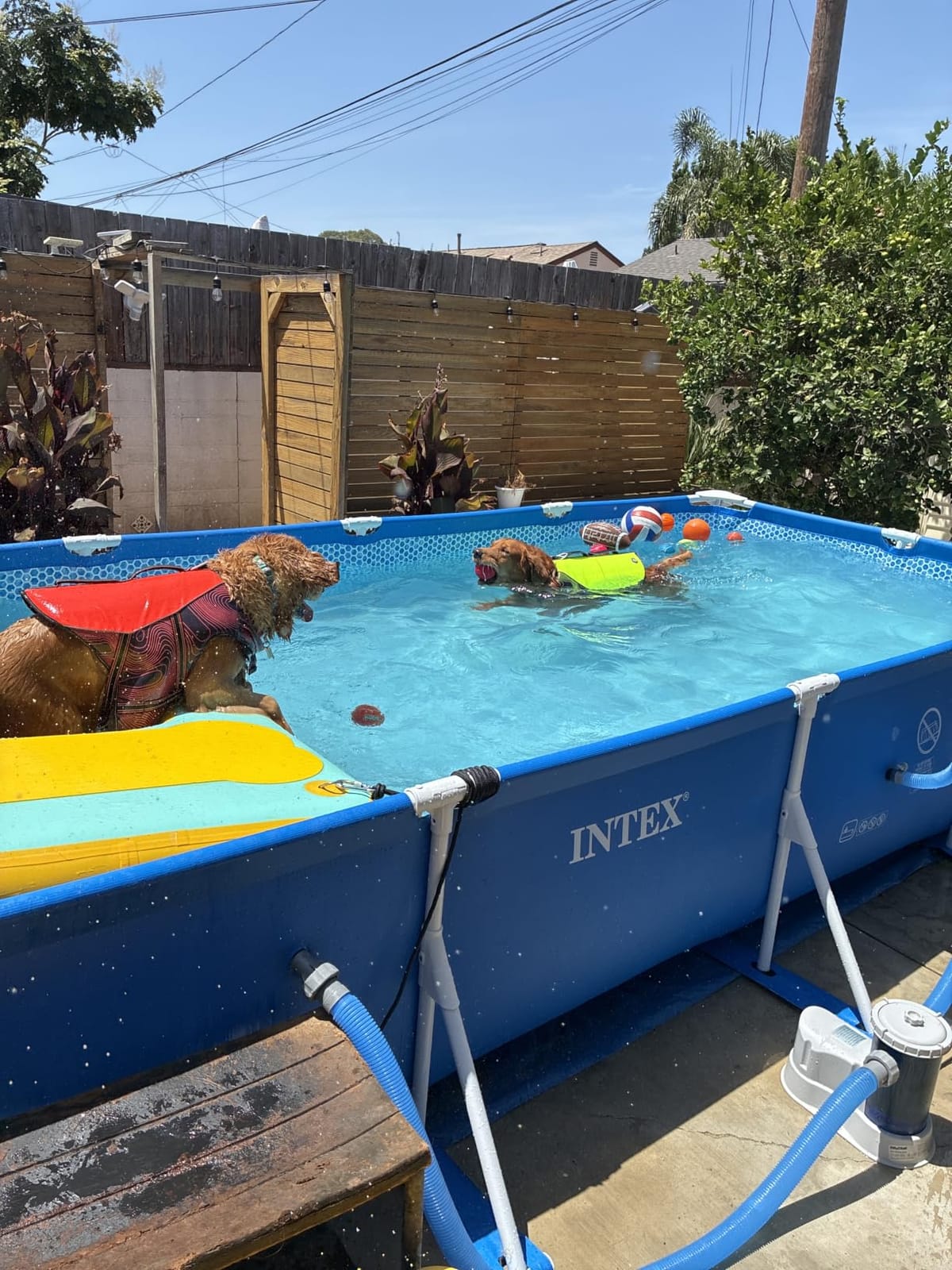INTEX Metal Frame 14ft 9in x 7ft 3in x 33in Above Ground Swimming Pool customer photo 2