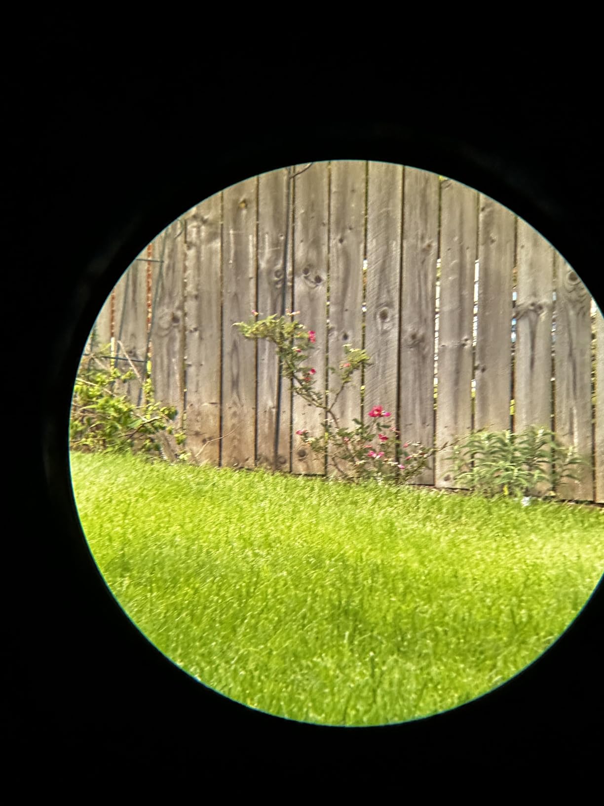 Vortex Solo Monocular 10x36 customer photo 1