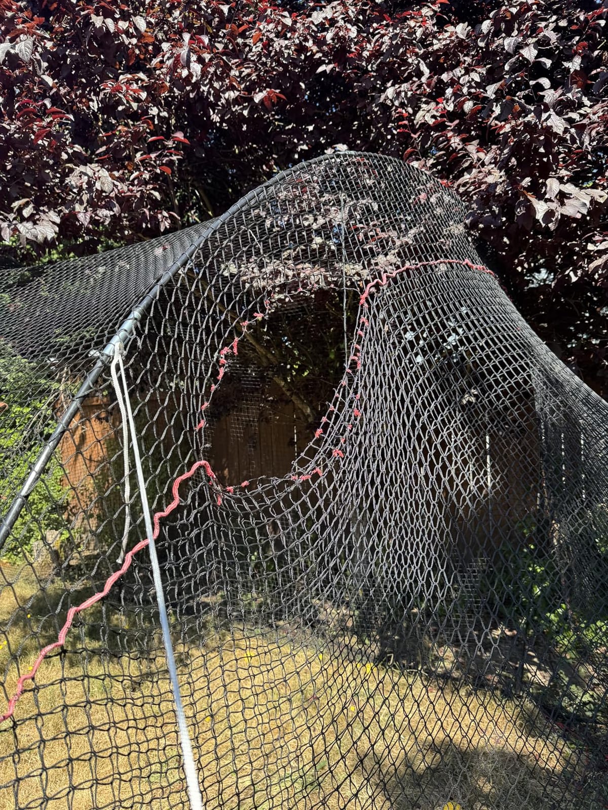 HEATER Sports PowerAlley Baseball & Softball Batting Cage Net & Frame - Heavy-Duty Net with Built-in Pitching Machine Harness for Safety (Machine Not Included) | Ideal for Batting Practice & Training customer photo 2