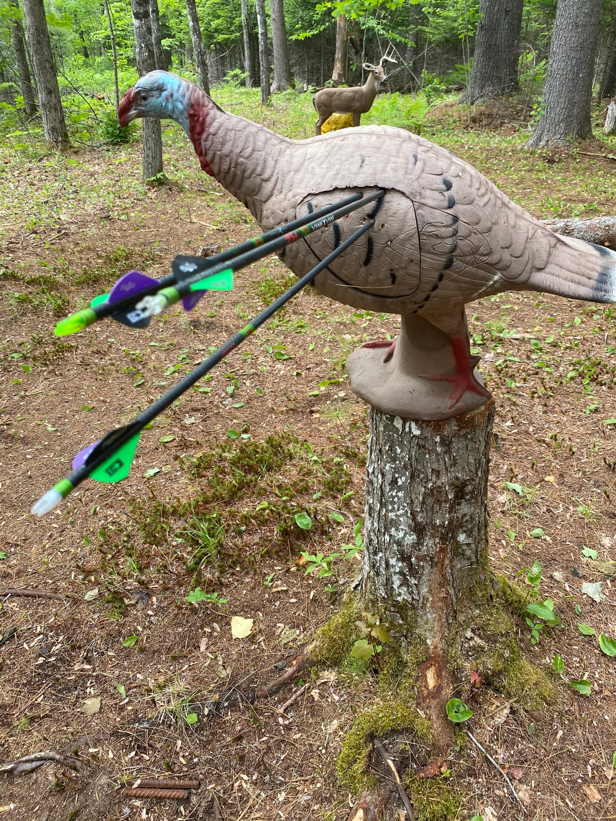 Rinehart Signature Tom Turkey 3D Archery Target, Replaceable Vital Insert customer photo 1